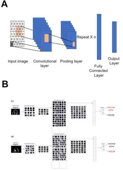 Frontiers  Myocardial strain analysis of echocardiography based on deep  learning