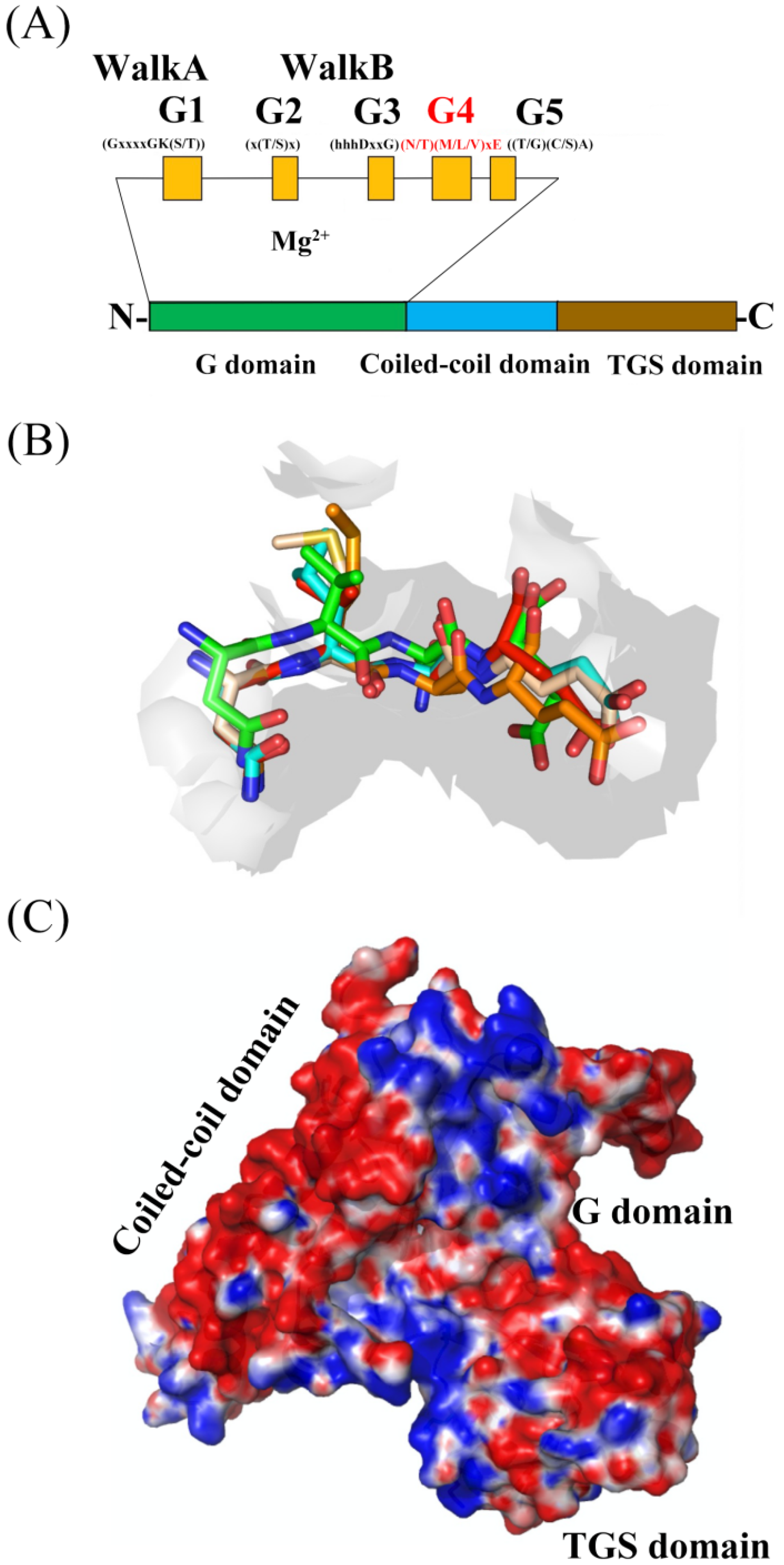 Life 13 01058 g001 Life 13 01058 g001