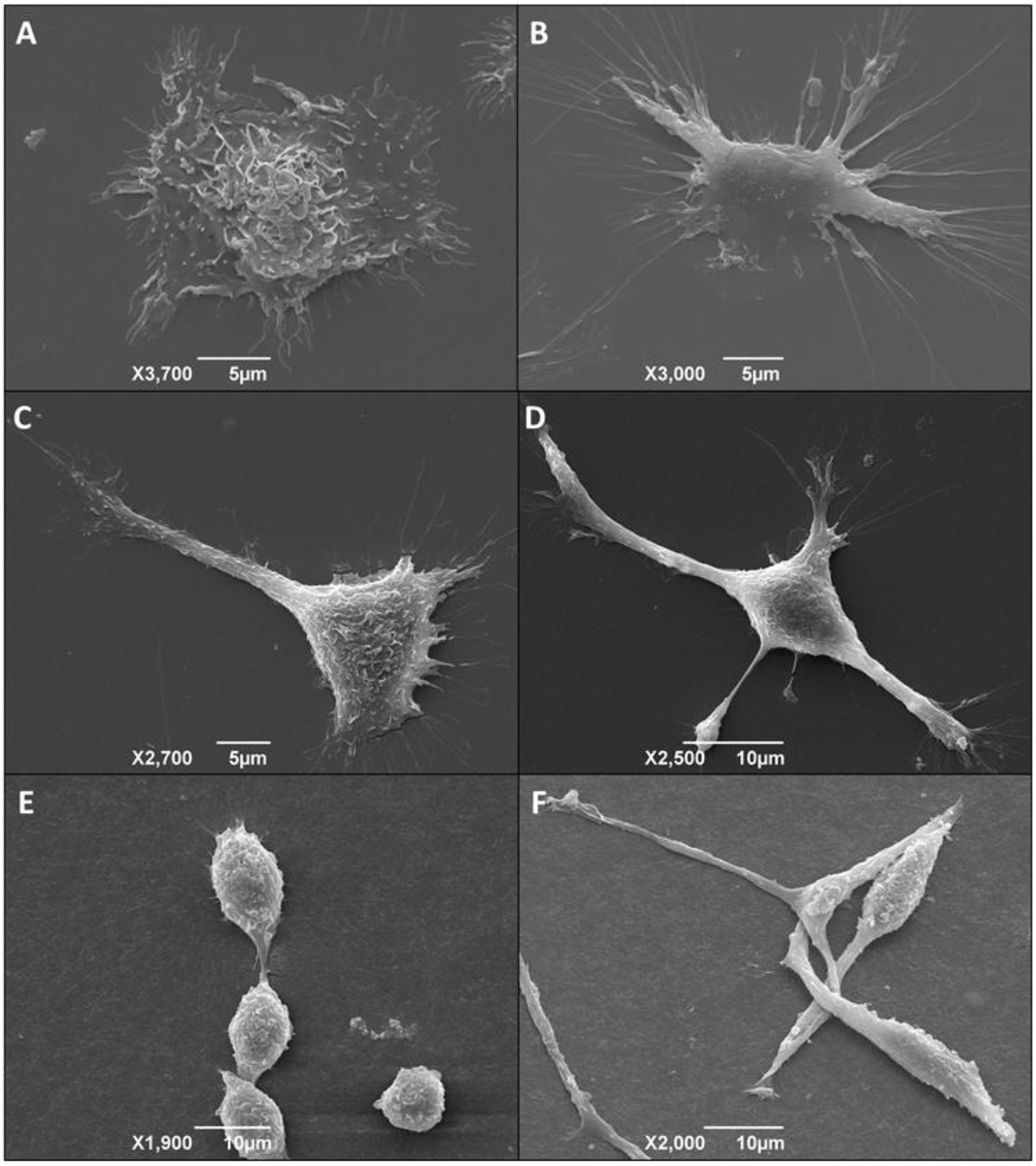 Life 13 01063 g007 Life 13 01063 g007