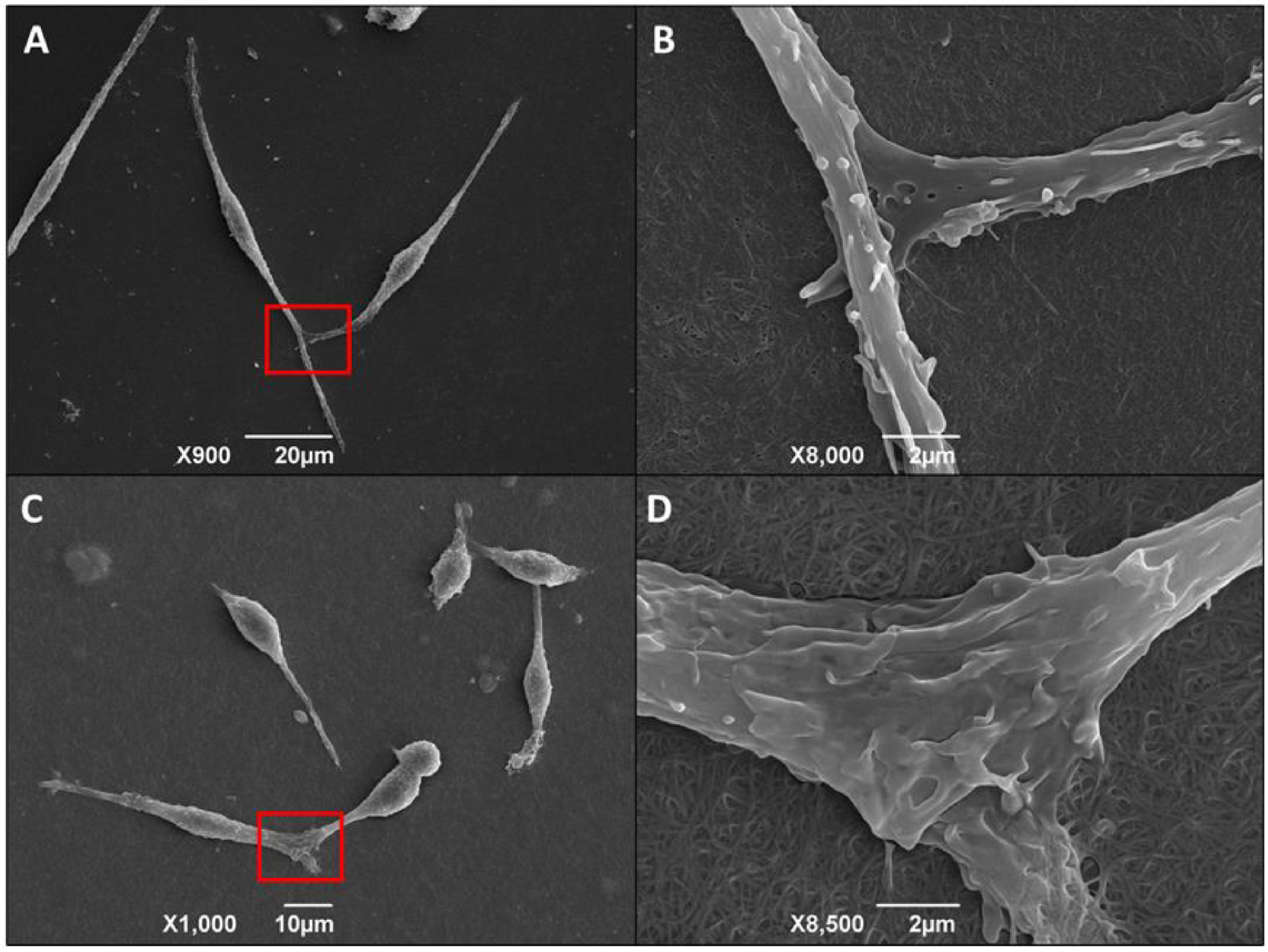 Life 13 01063 g008 Life 13 01063 g008