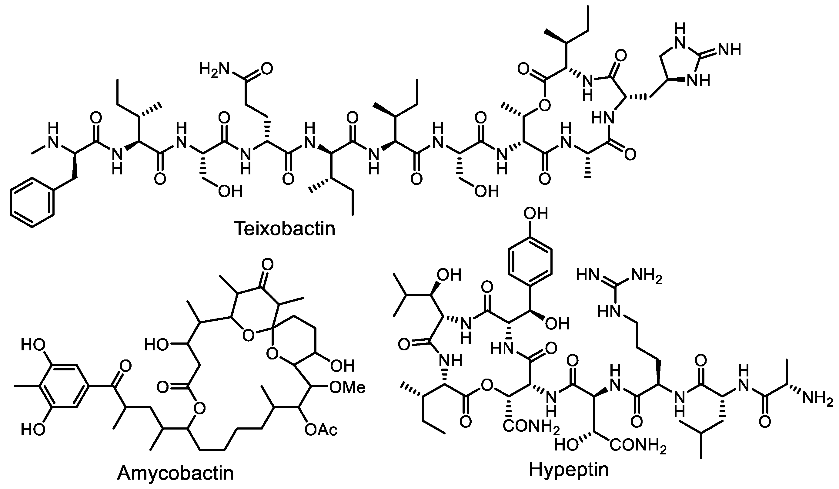Life 13 01073 g007 Life 13 01073 g007
