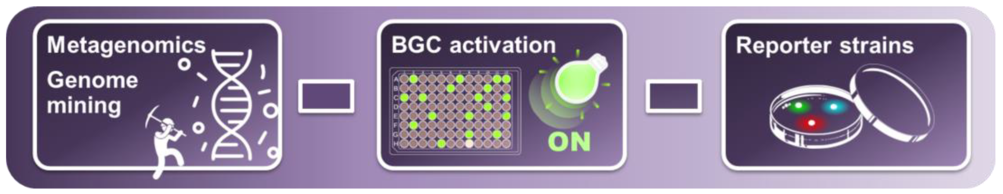 Life 13 01073 g010 Life 13 01073 g010