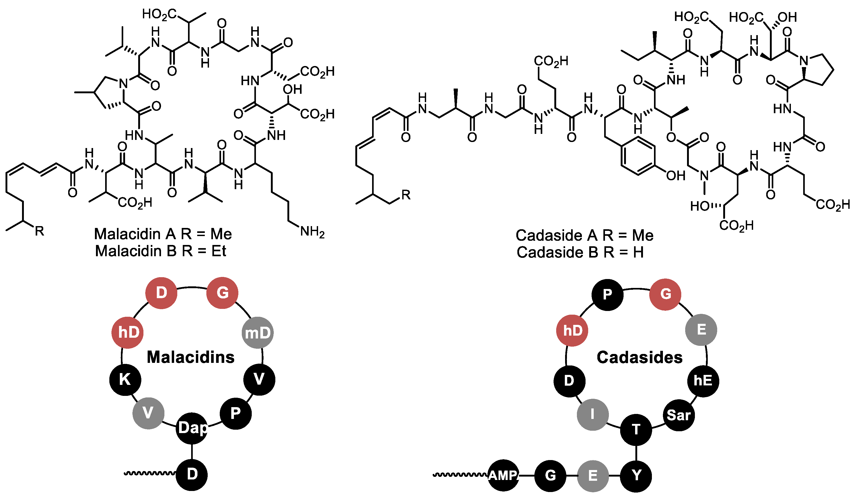 Life 13 01073 g012 Life 13 01073 g012