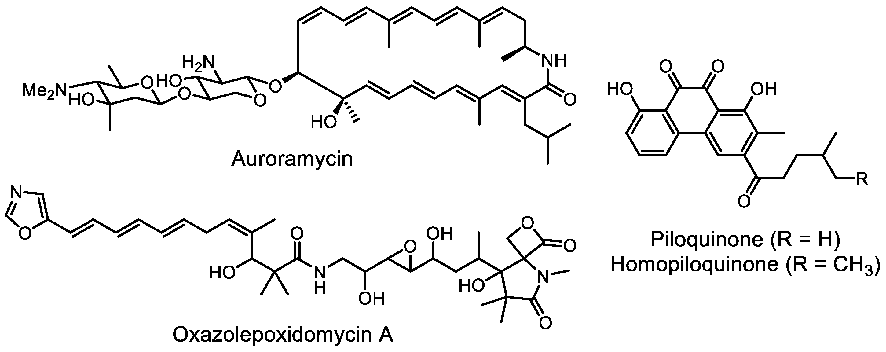 Life 13 01073 g019 Life 13 01073 g019