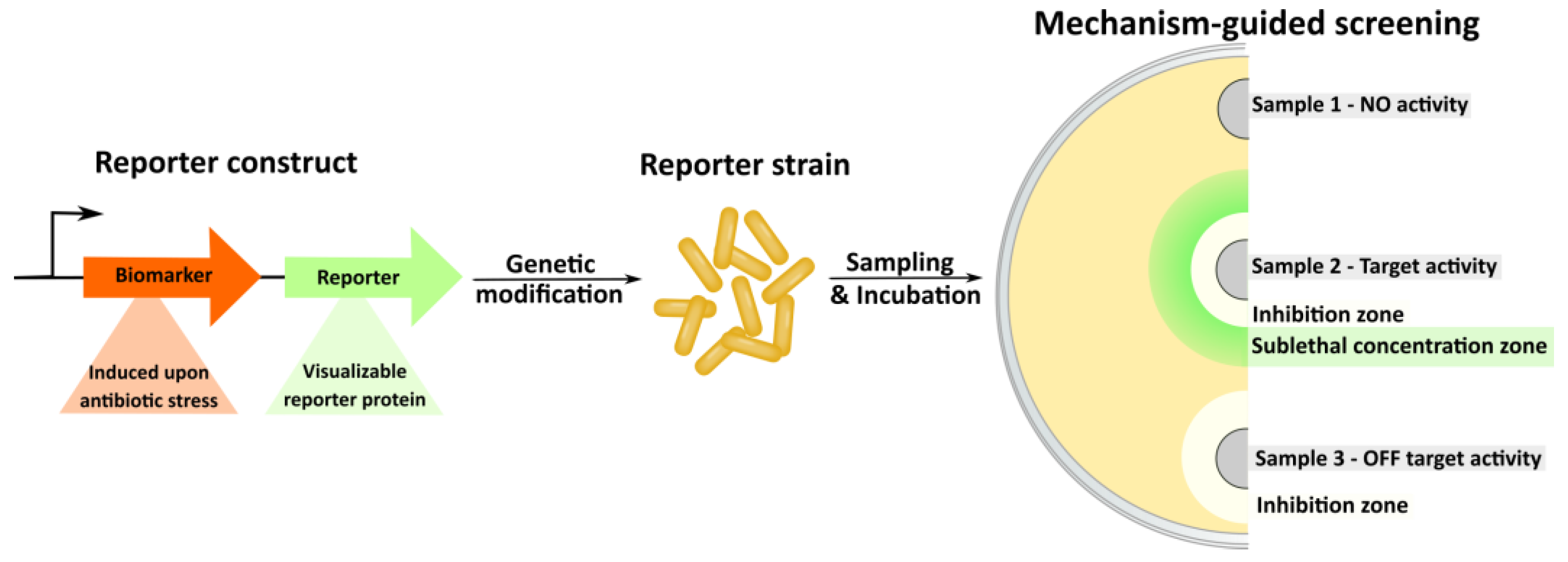 Life 13 01073 g021 Life 13 01073 g021