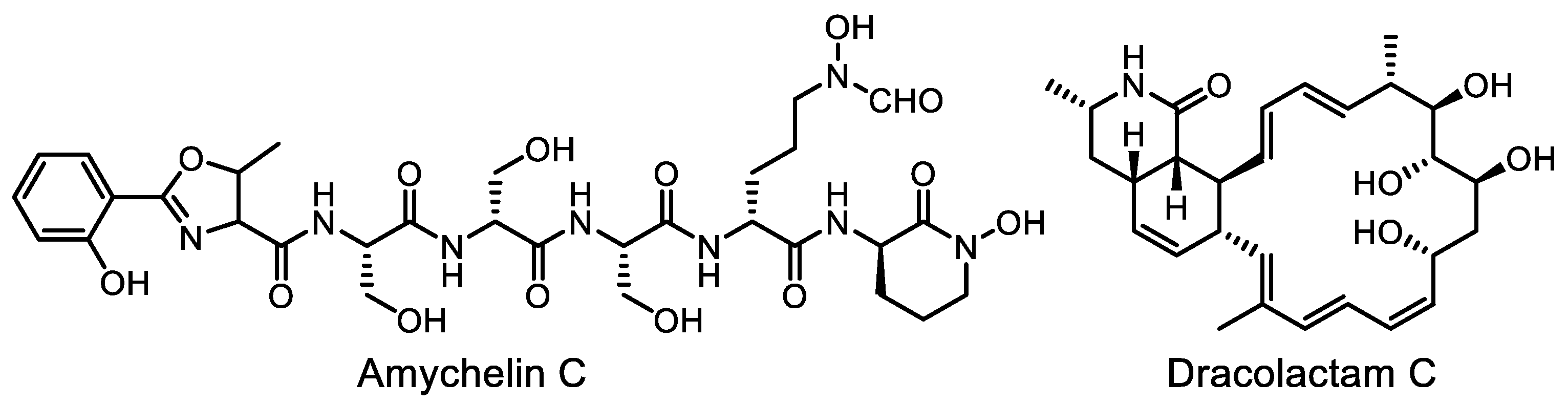Life 13 01073 g025 Life 13 01073 g025