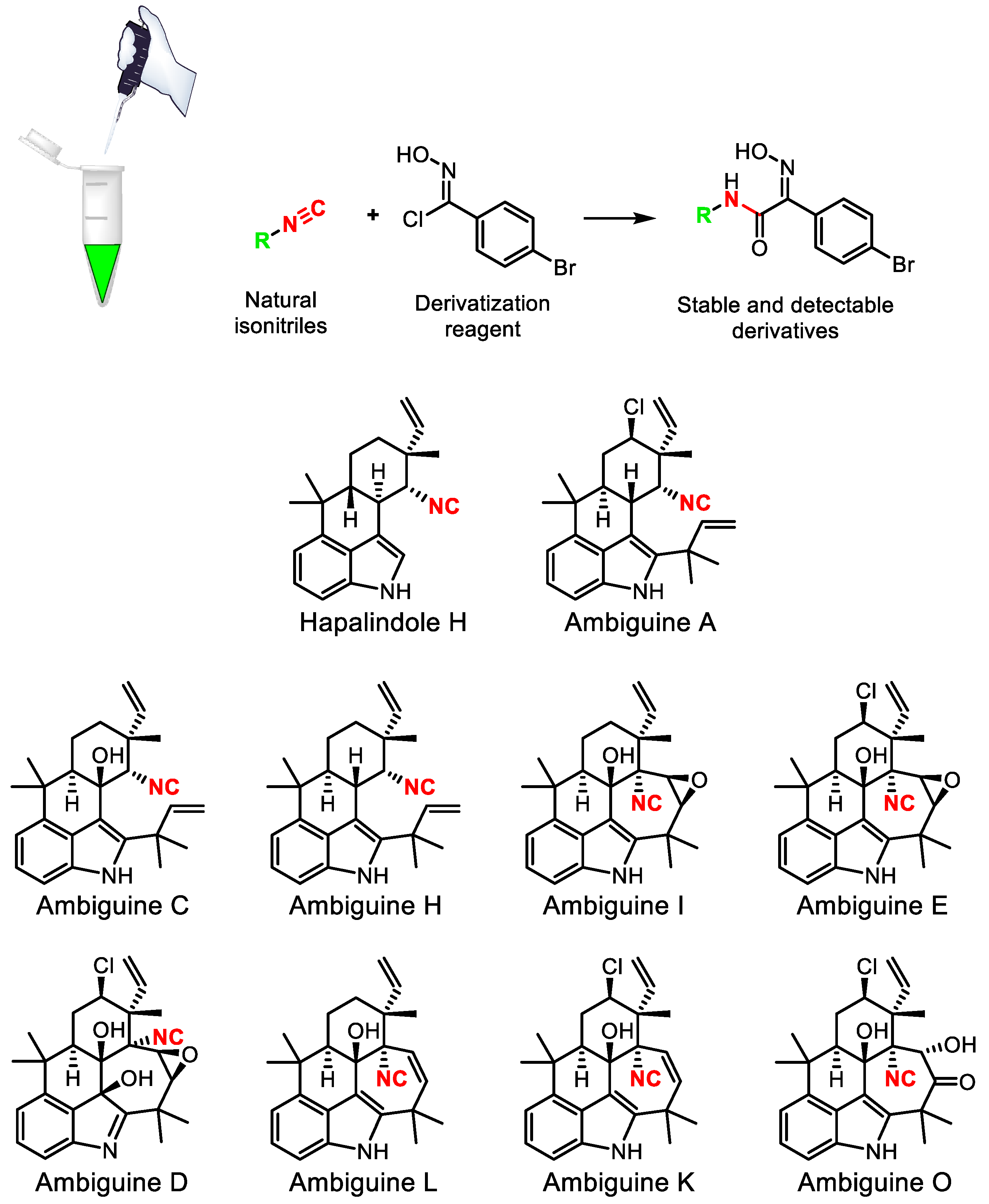 Life 13 01073 g026 Life 13 01073 g026