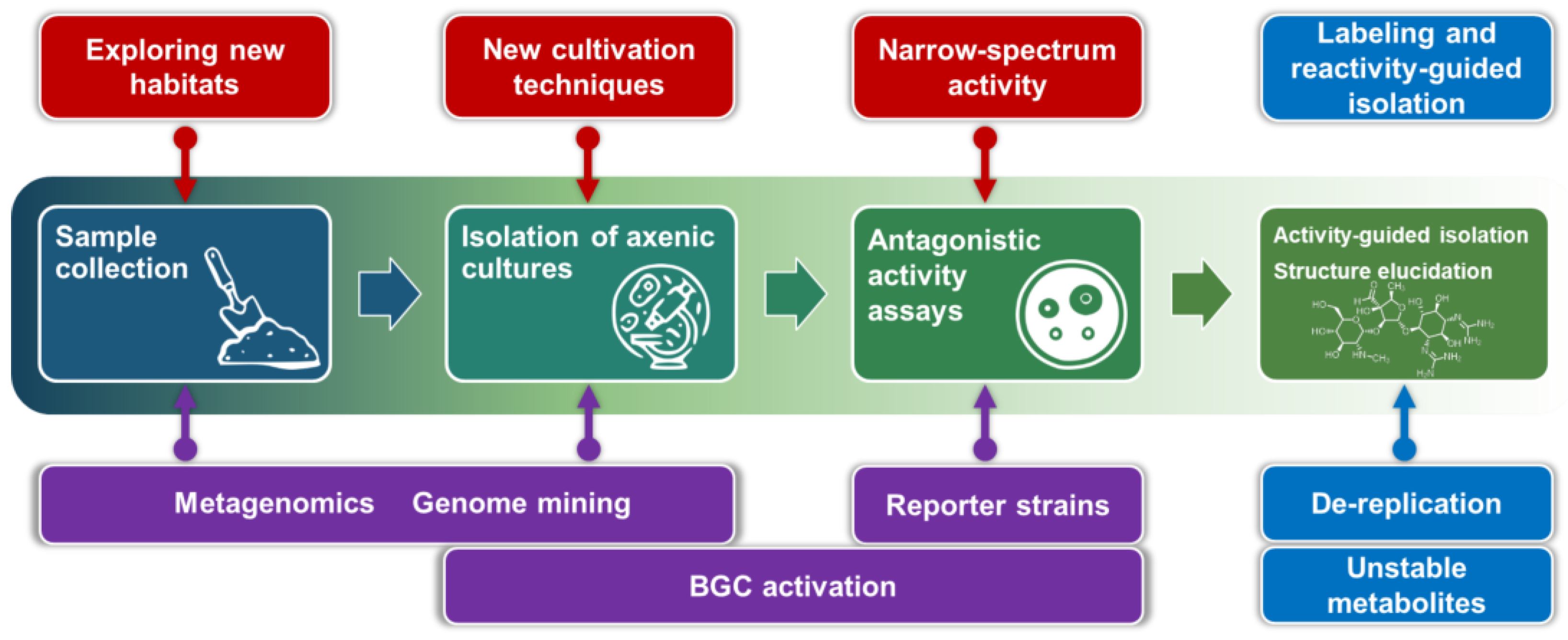 Life 13 01073 g028 Life 13 01073 g028