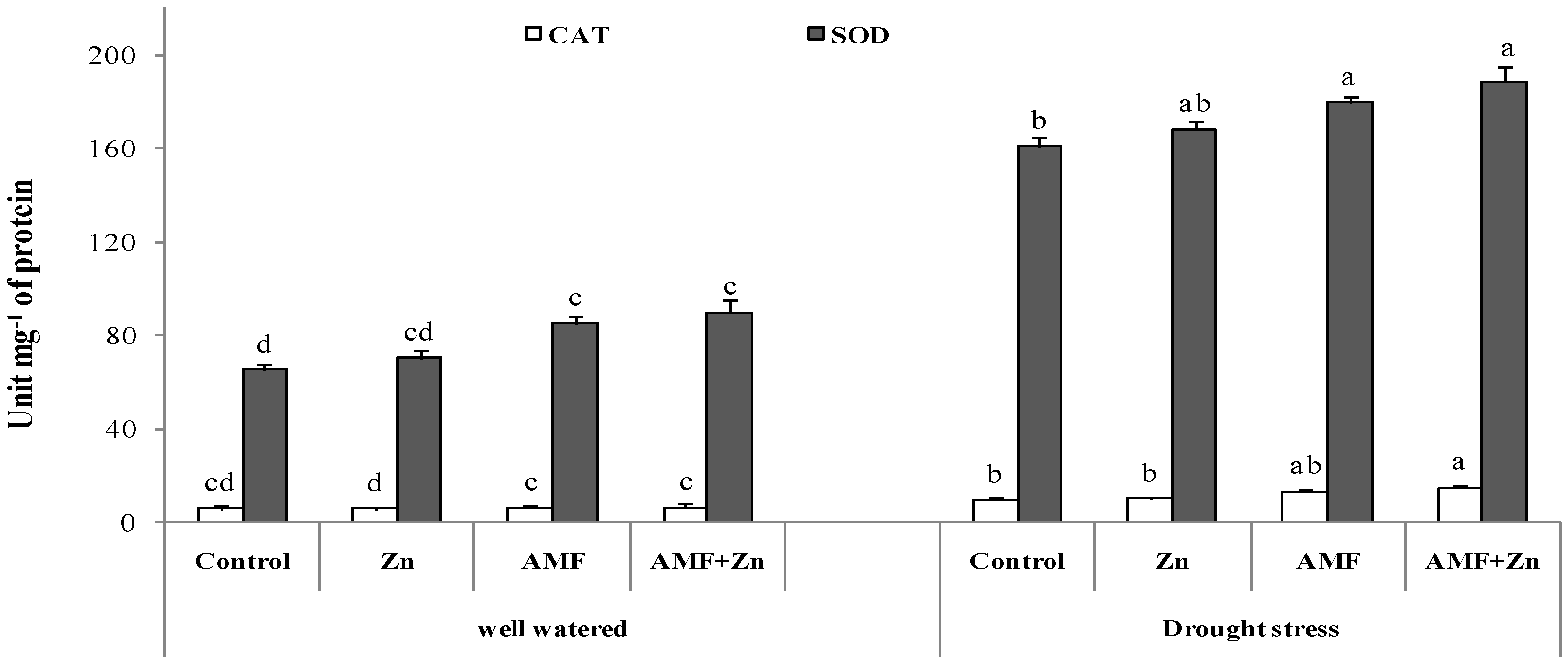 Life 13 01078 g004 Life 13 01078 g004