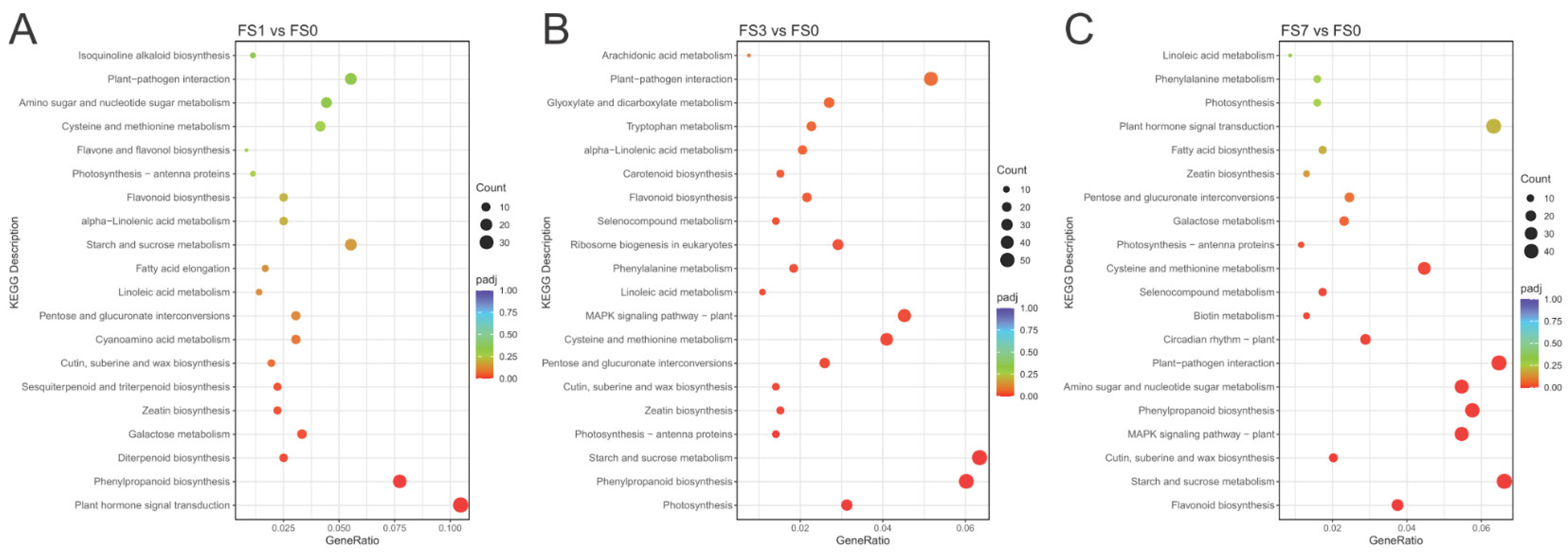 Life 13 01087 g004 Life 13 01087 g004