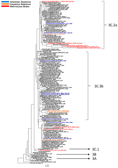 Life | Free Full-Text | Molecular Characterization of Influenza A/H3N2 ...