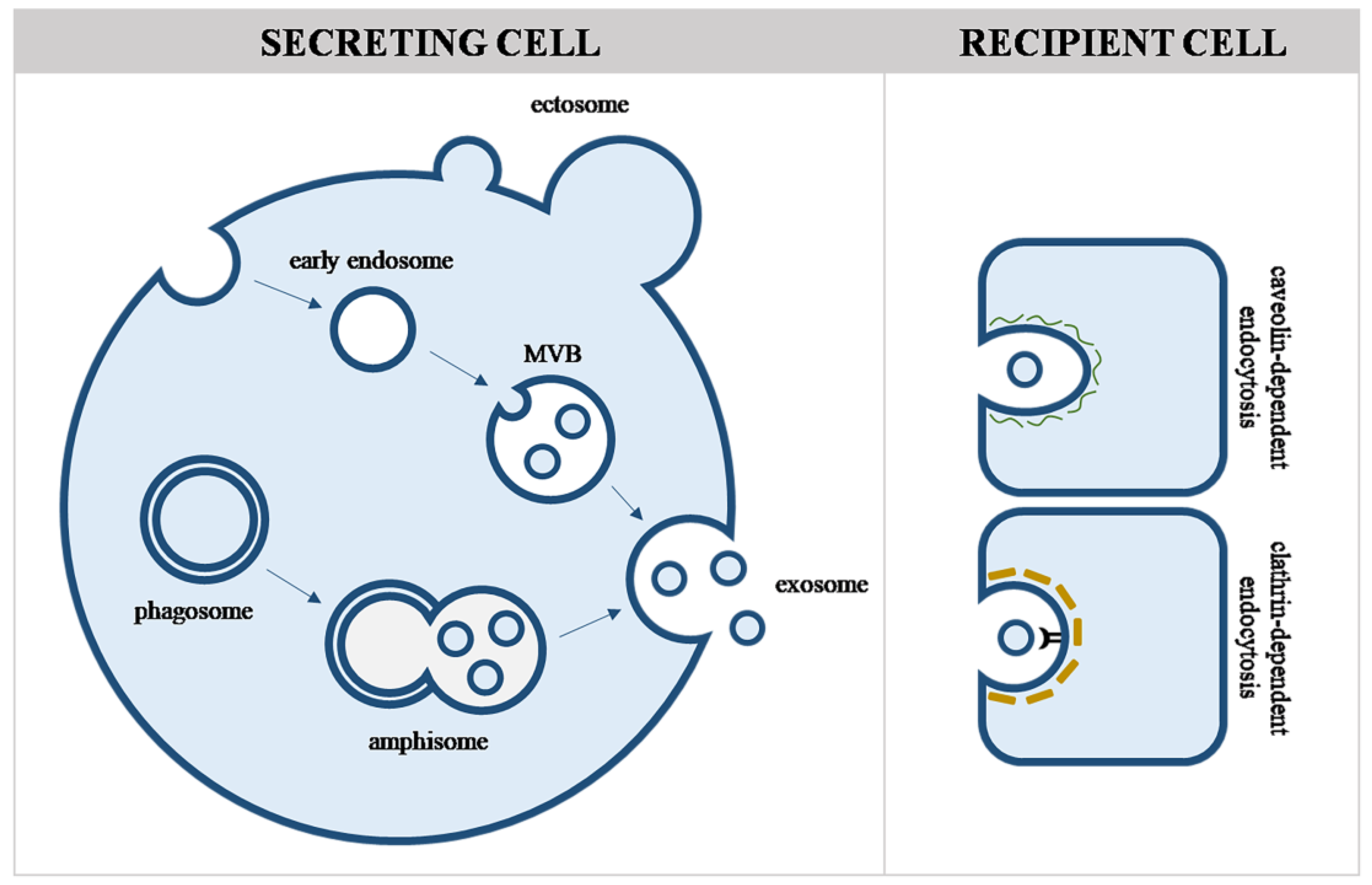 Life 13 01117 g001 Life 13 01117 g001