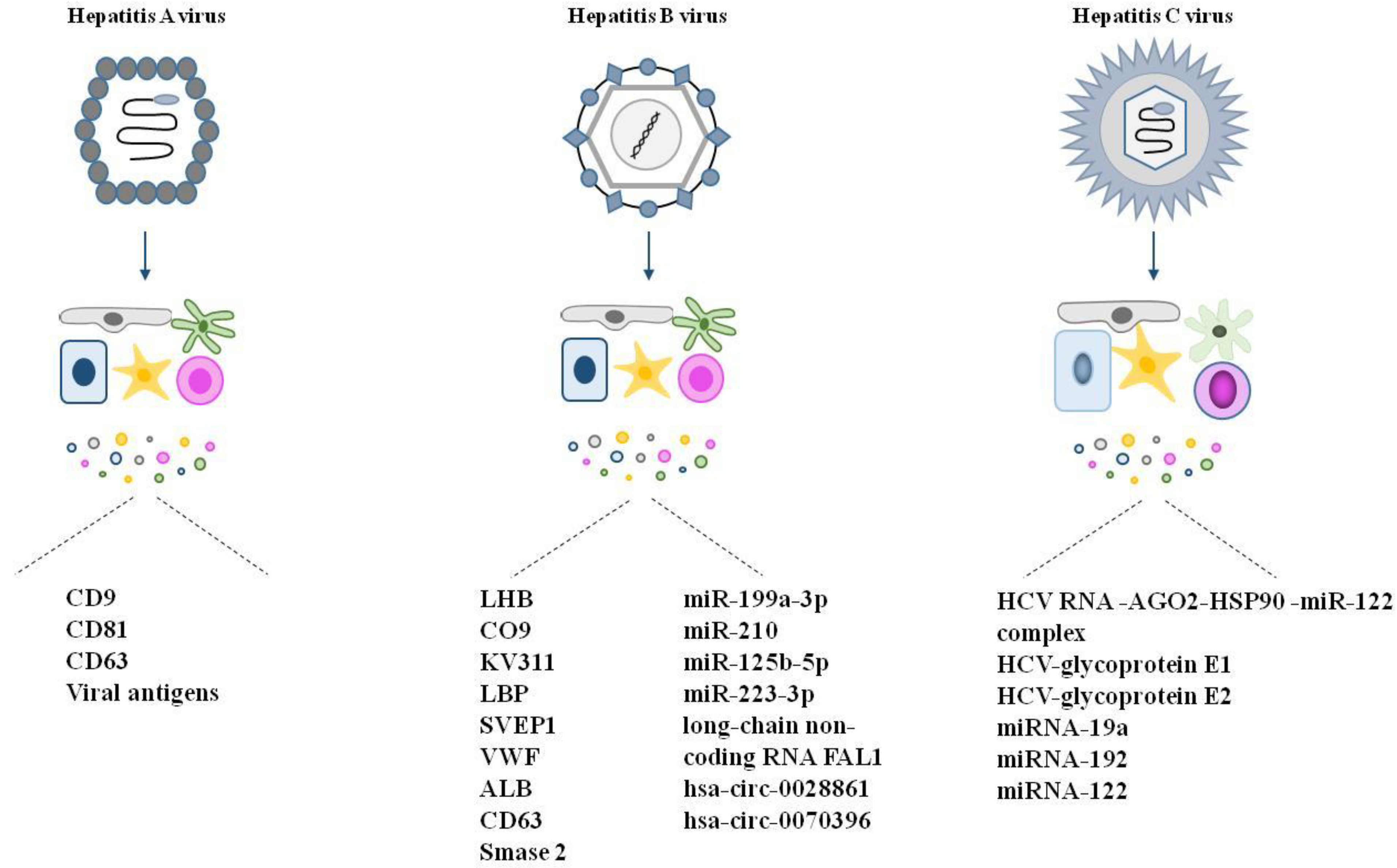 Life 13 01117 g004 Life 13 01117 g004