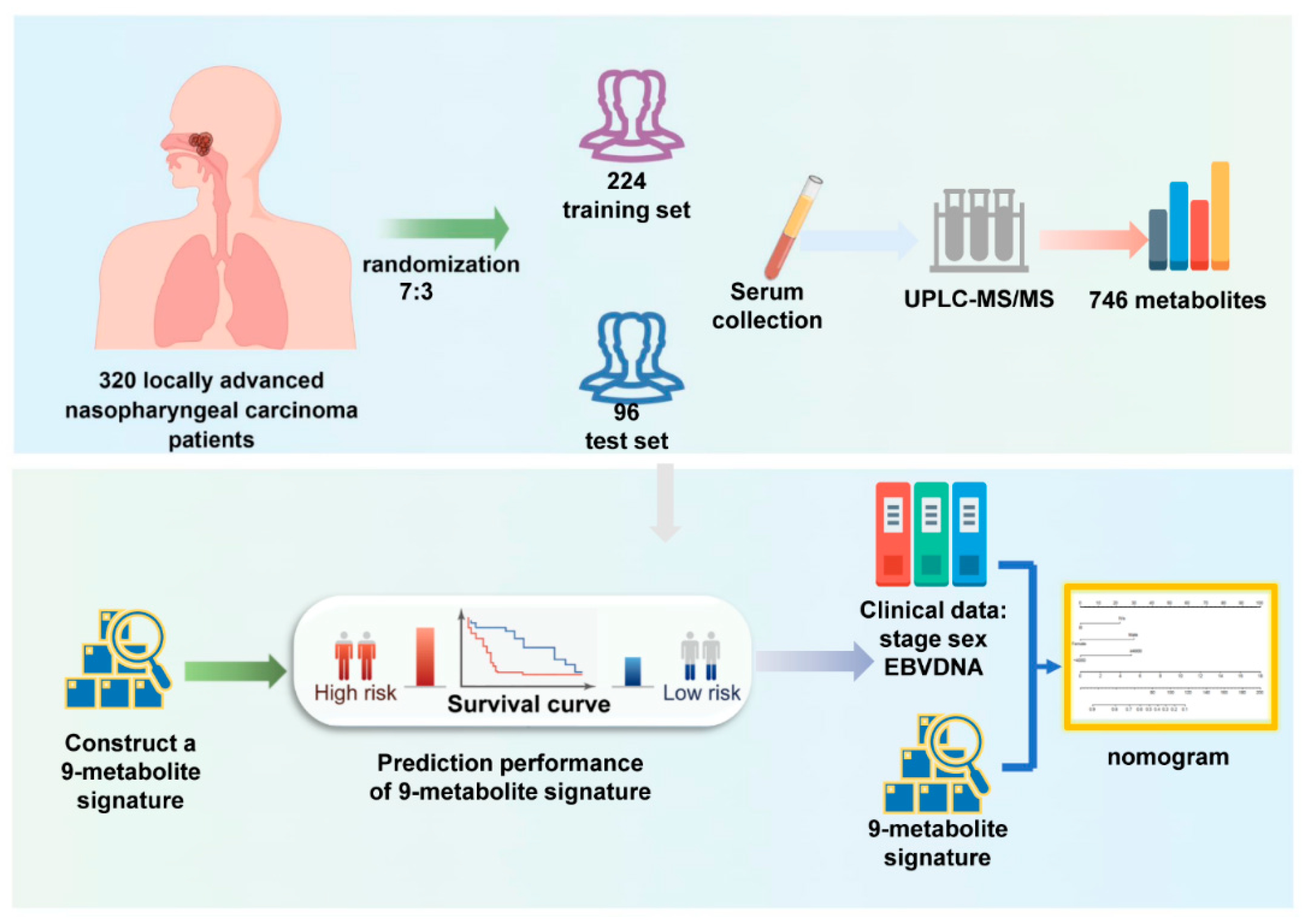 Life | Free Full-Text | An Individualized Prognostic Model in Patients with  Locoregionally Advanced Nasopharyngeal Carcinoma Based on Serum Metabolomic  Profiling