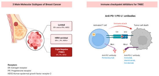 Spatial predictors of immunotherapy response in triple-negative breast  cancer