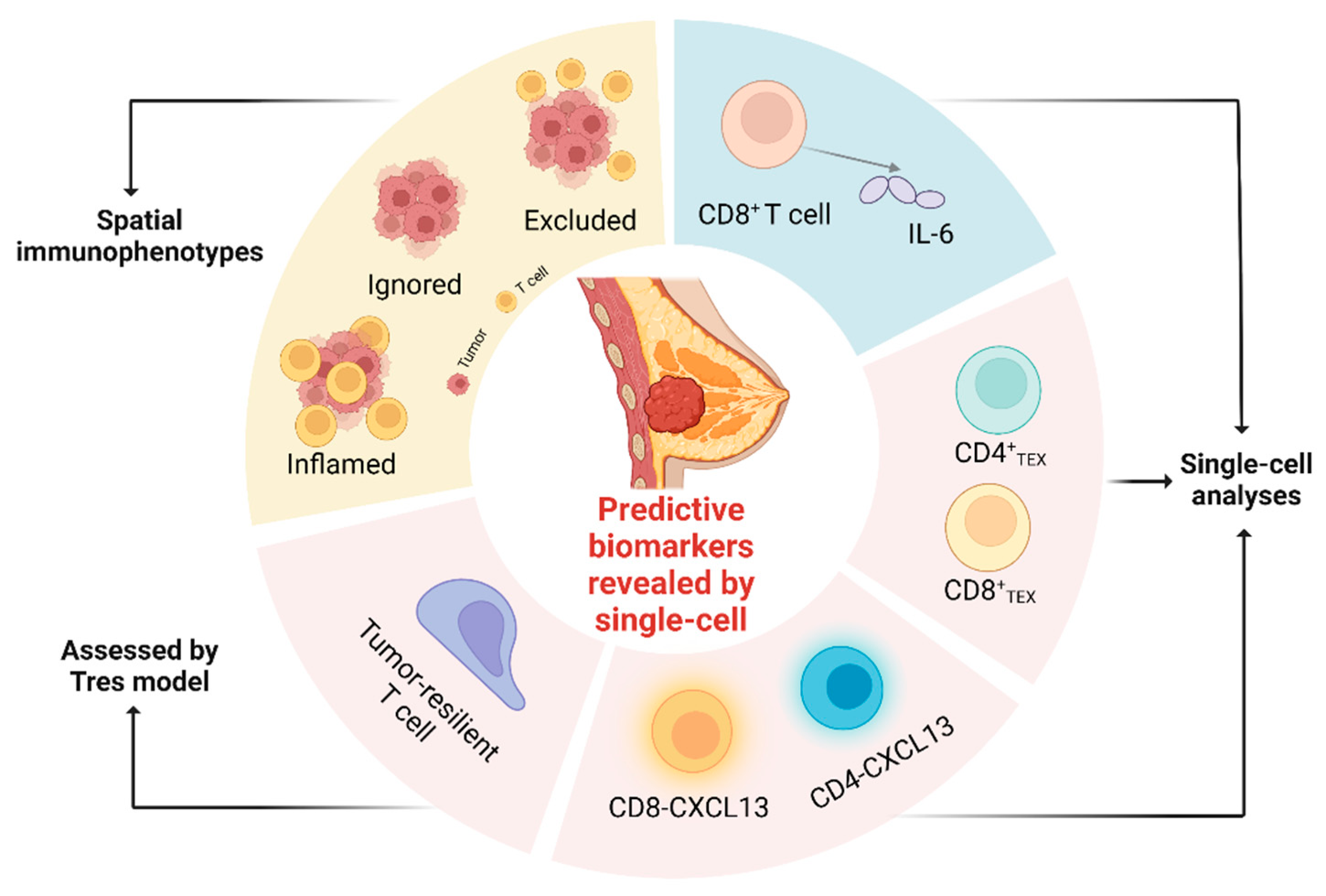 Life 13 01189 g002 Life 13 01189 g002