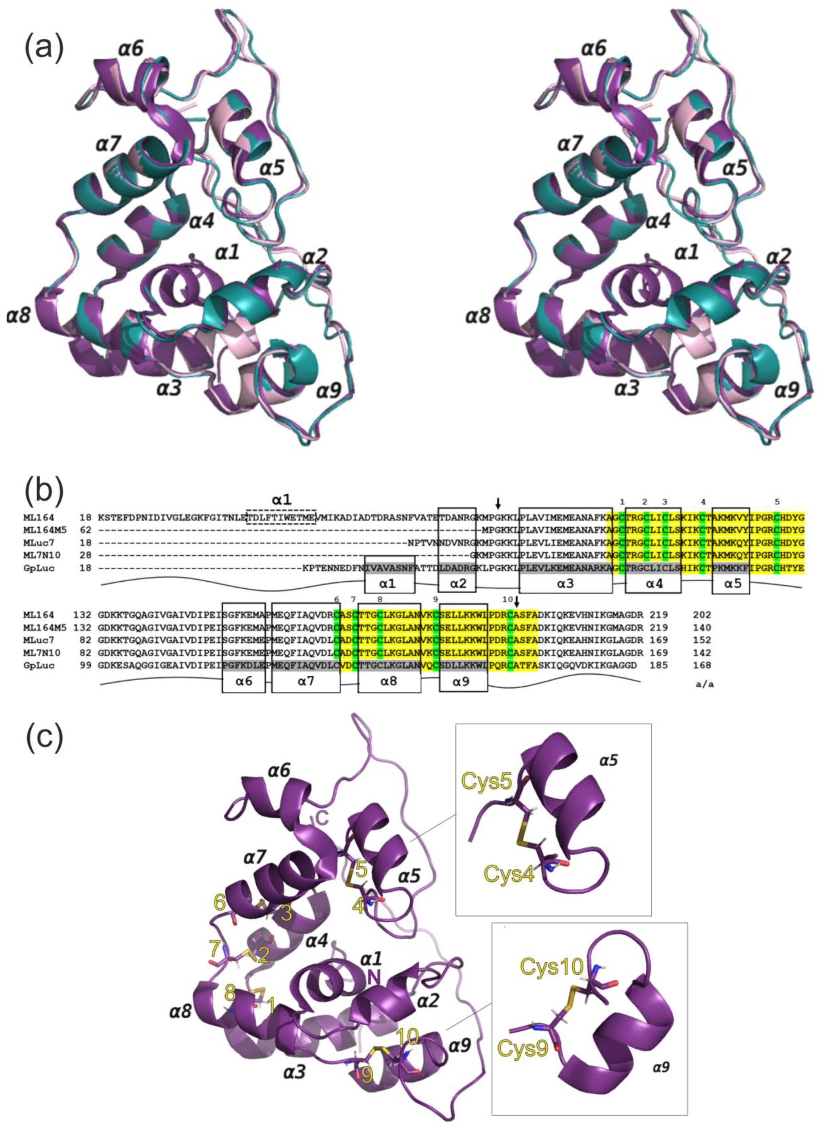 Life 13 01222 g003 Life 13 01222 g003