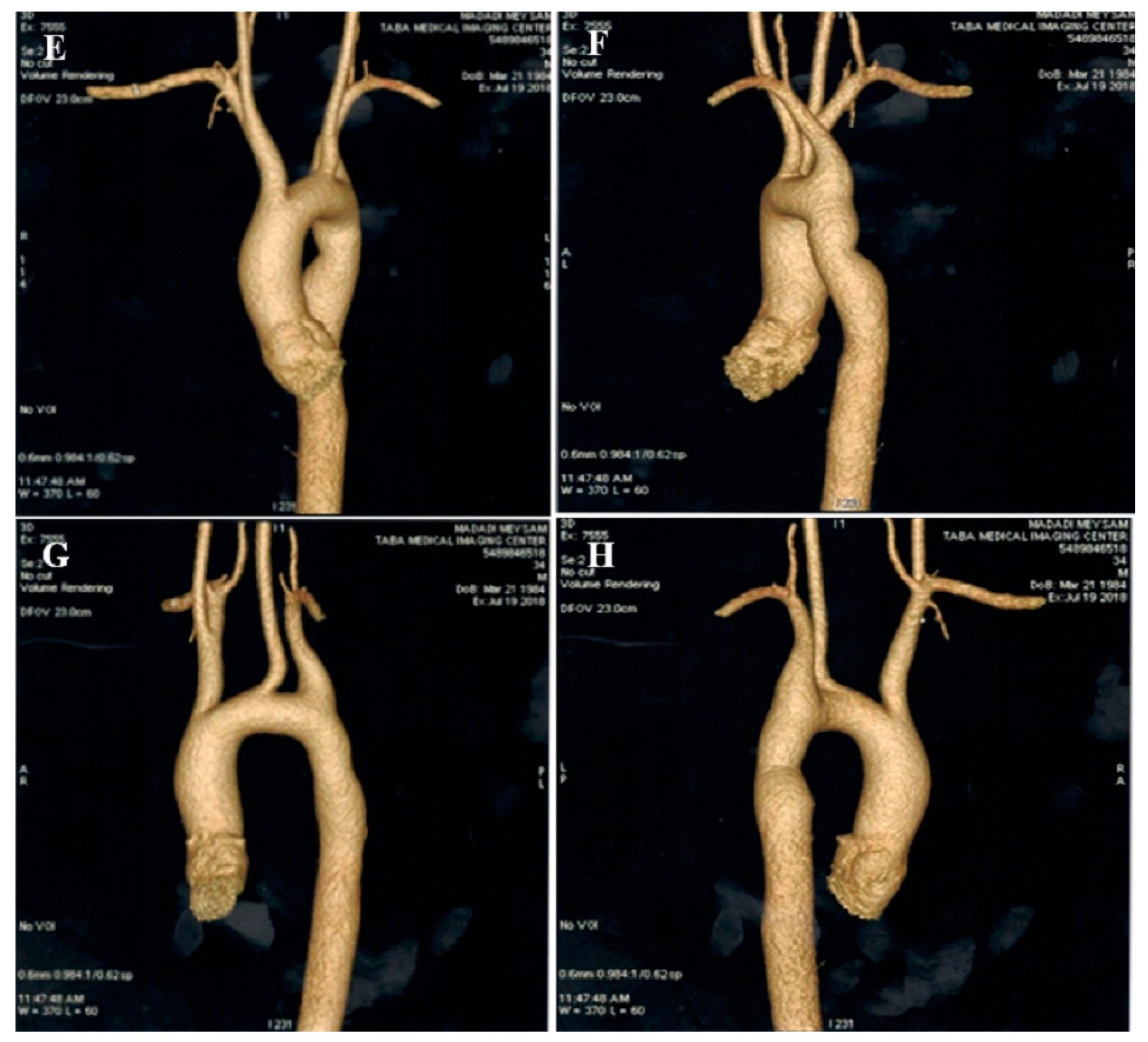 Life 13 01231 g001b Life 13 01231 g001b