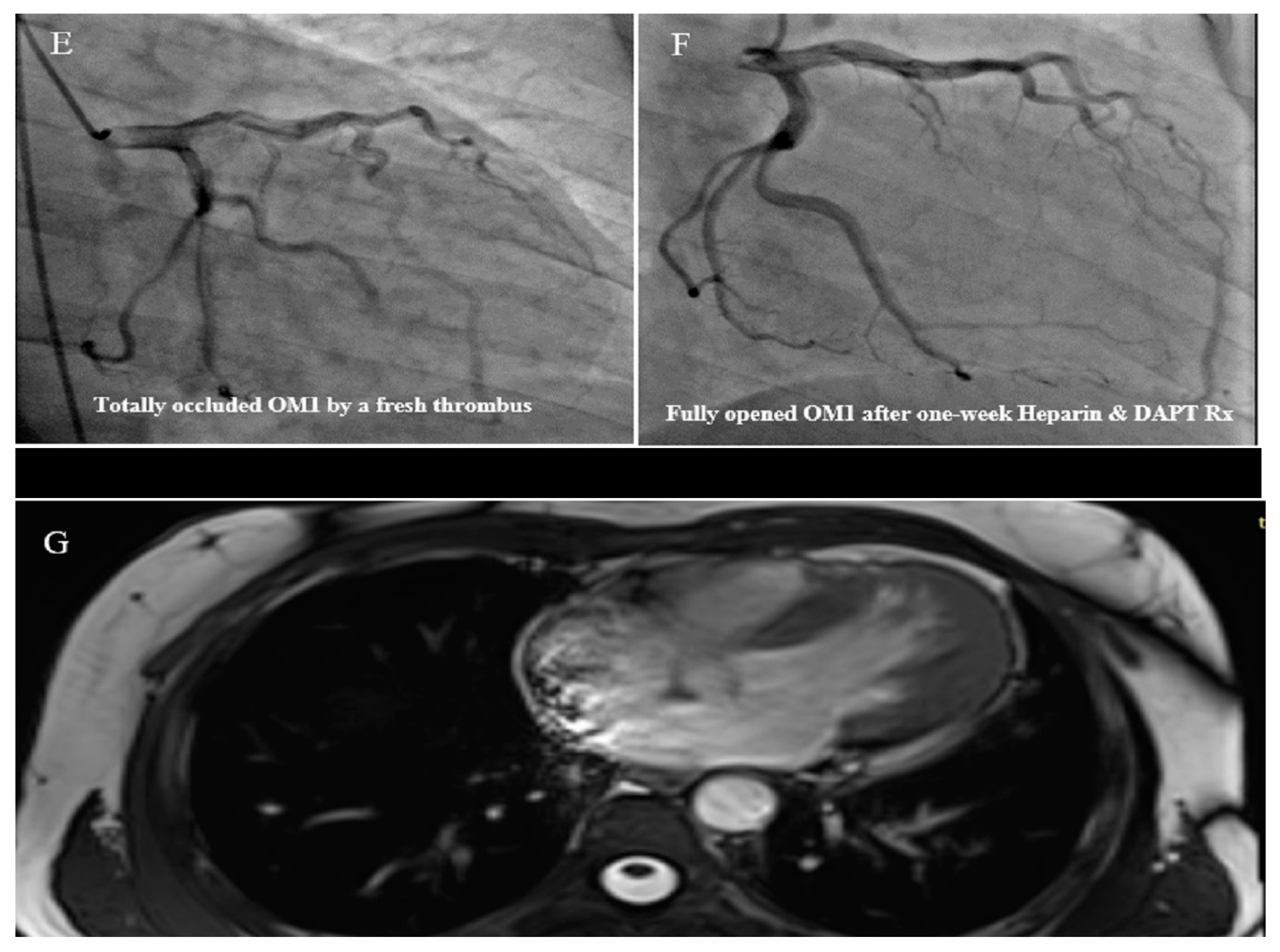 Life 13 01231 g003b Life 13 01231 g003b