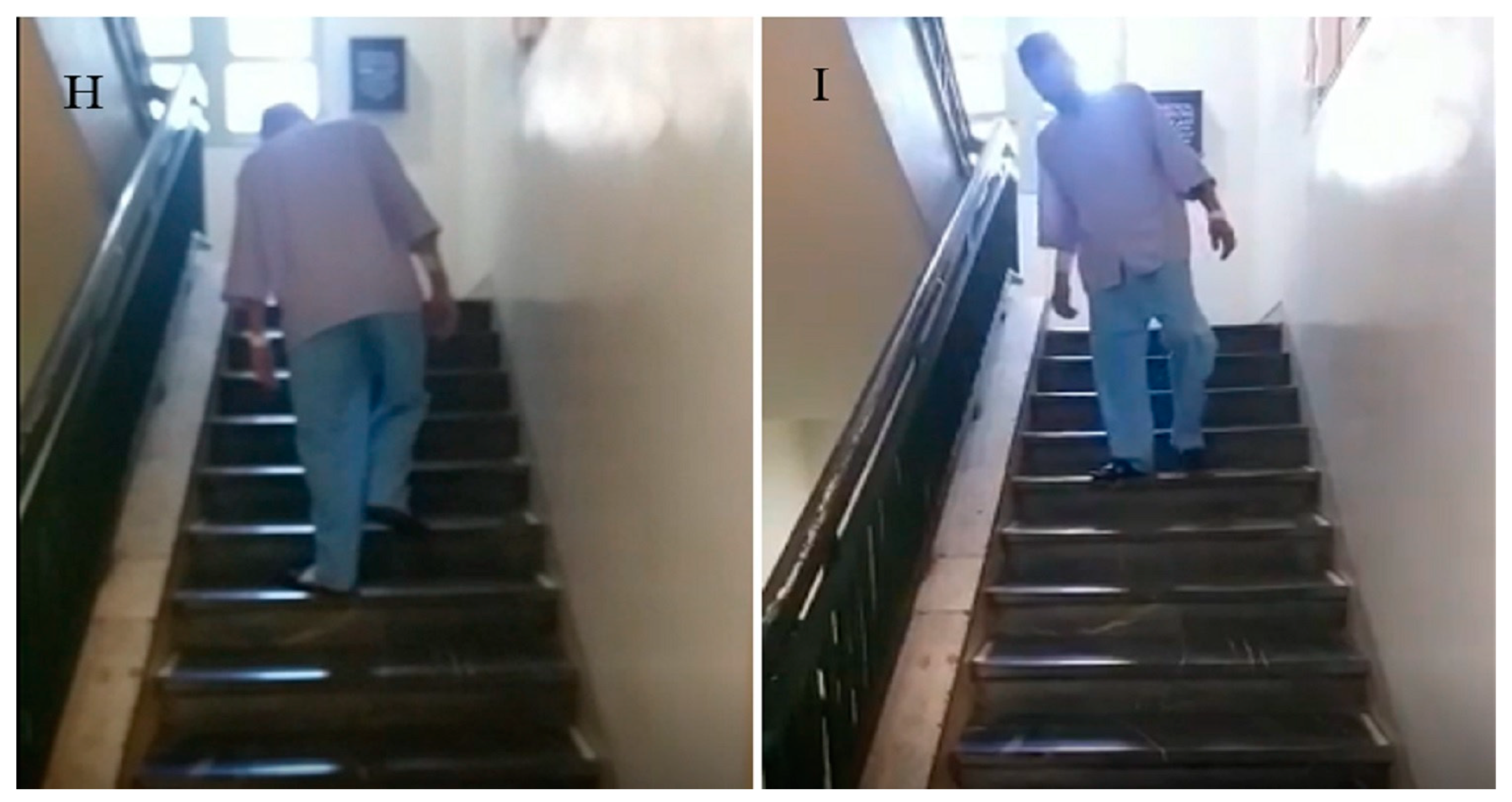 Life 13 01231 g006b Life 13 01231 g006b