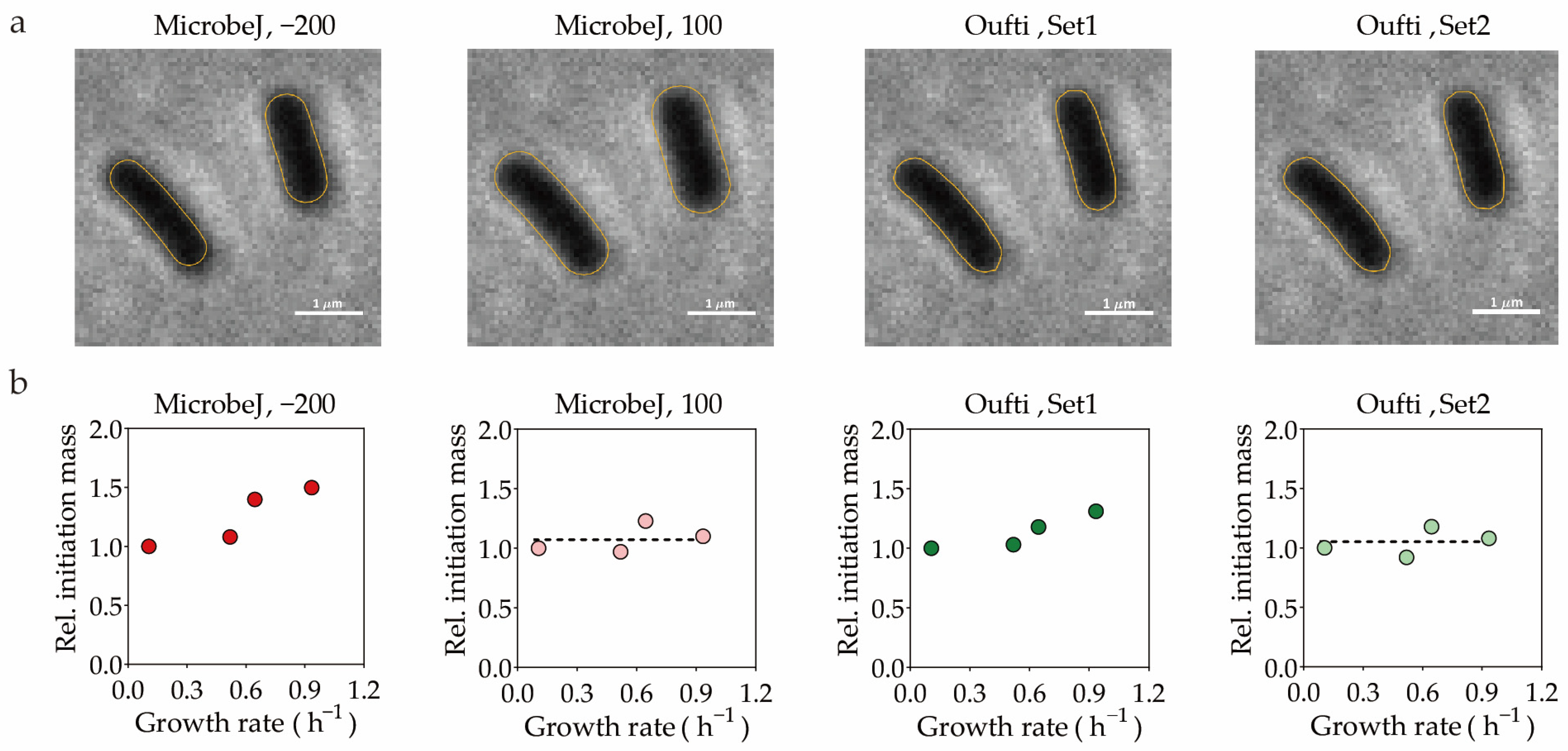Life 13 01246 g001 Life 13 01246 g001