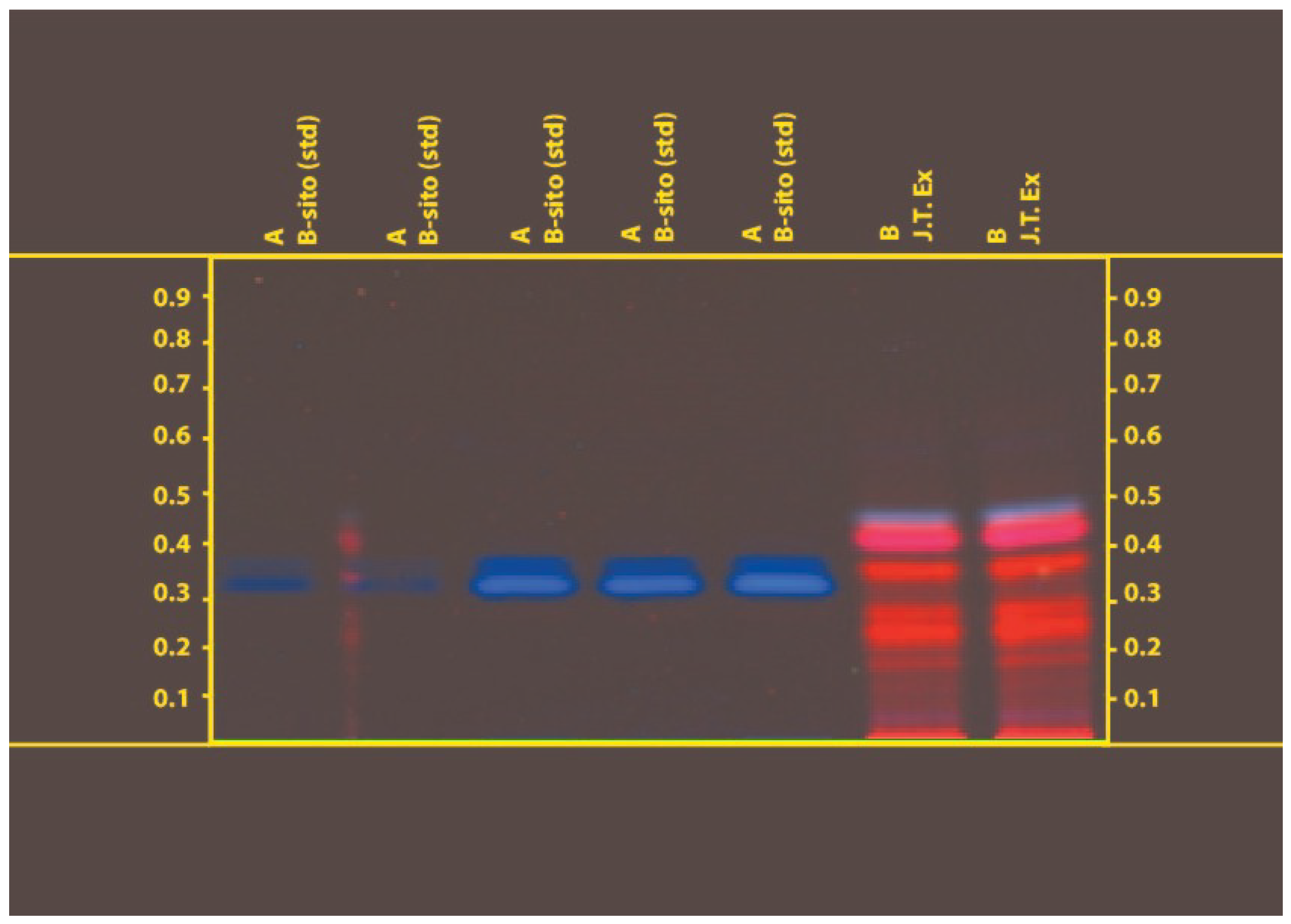 Life 13 01248 g002 Life 13 01248 g002