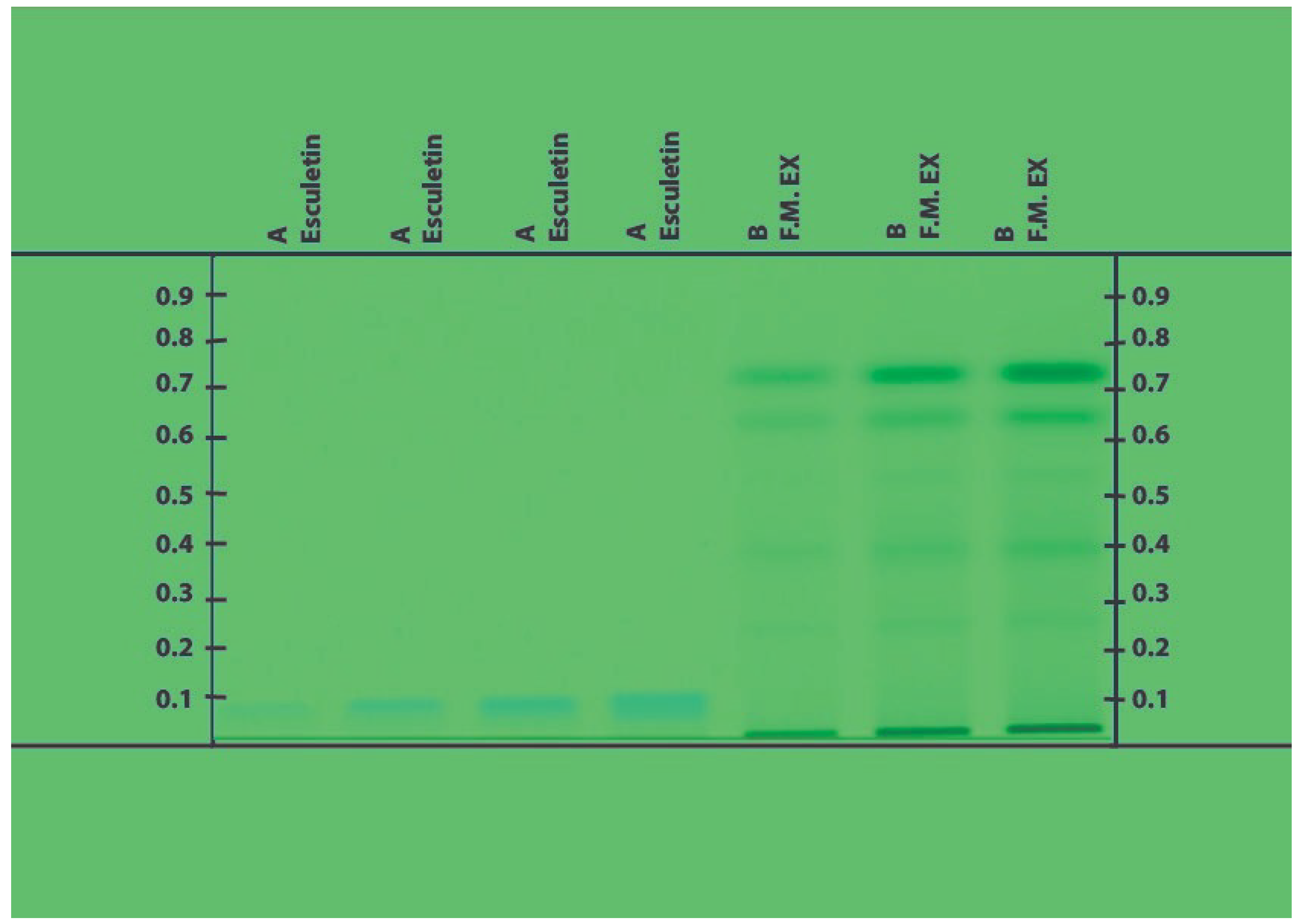 Life 13 01248 g003 Life 13 01248 g003