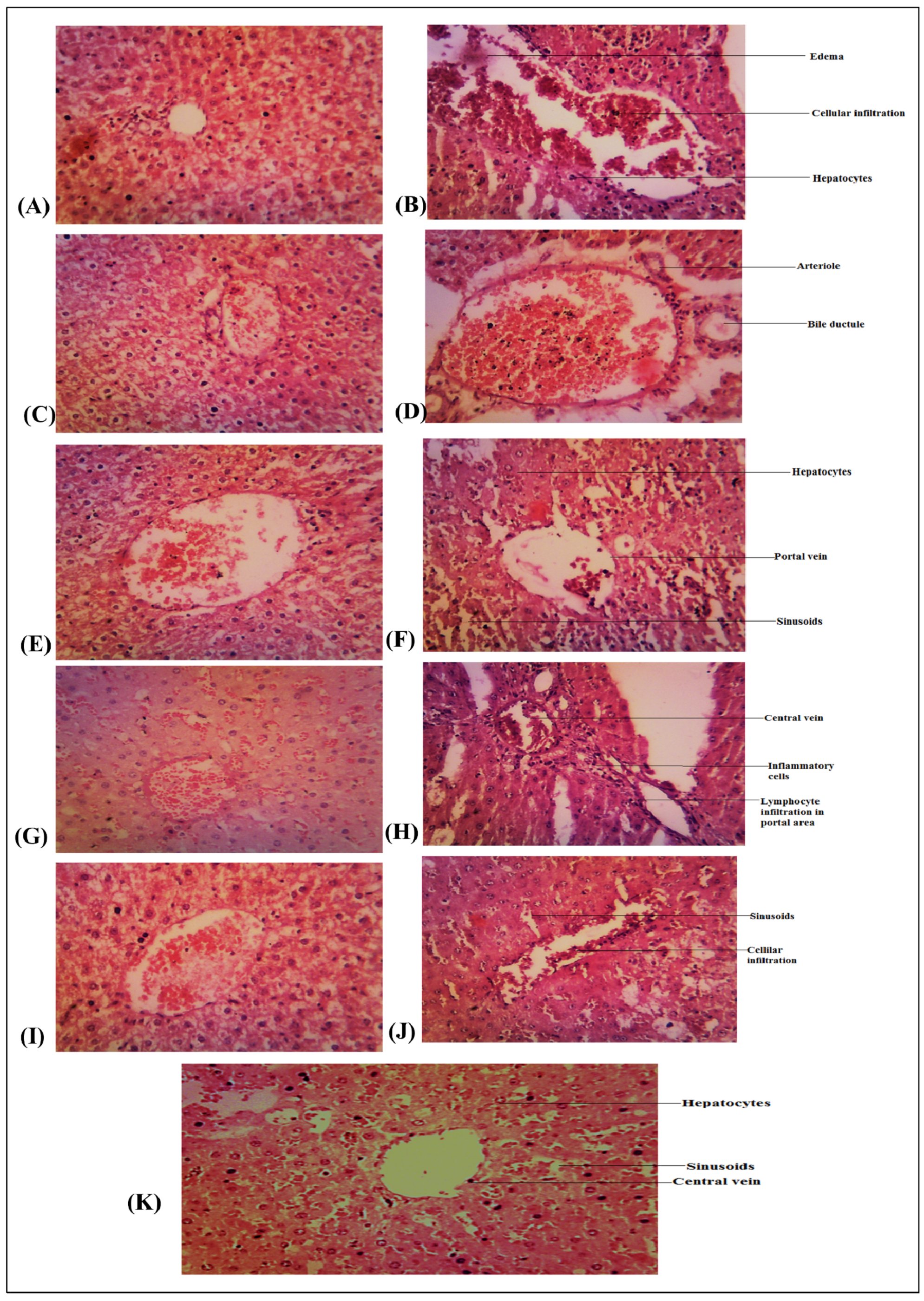Life 13 01248 g005 Life 13 01248 g005