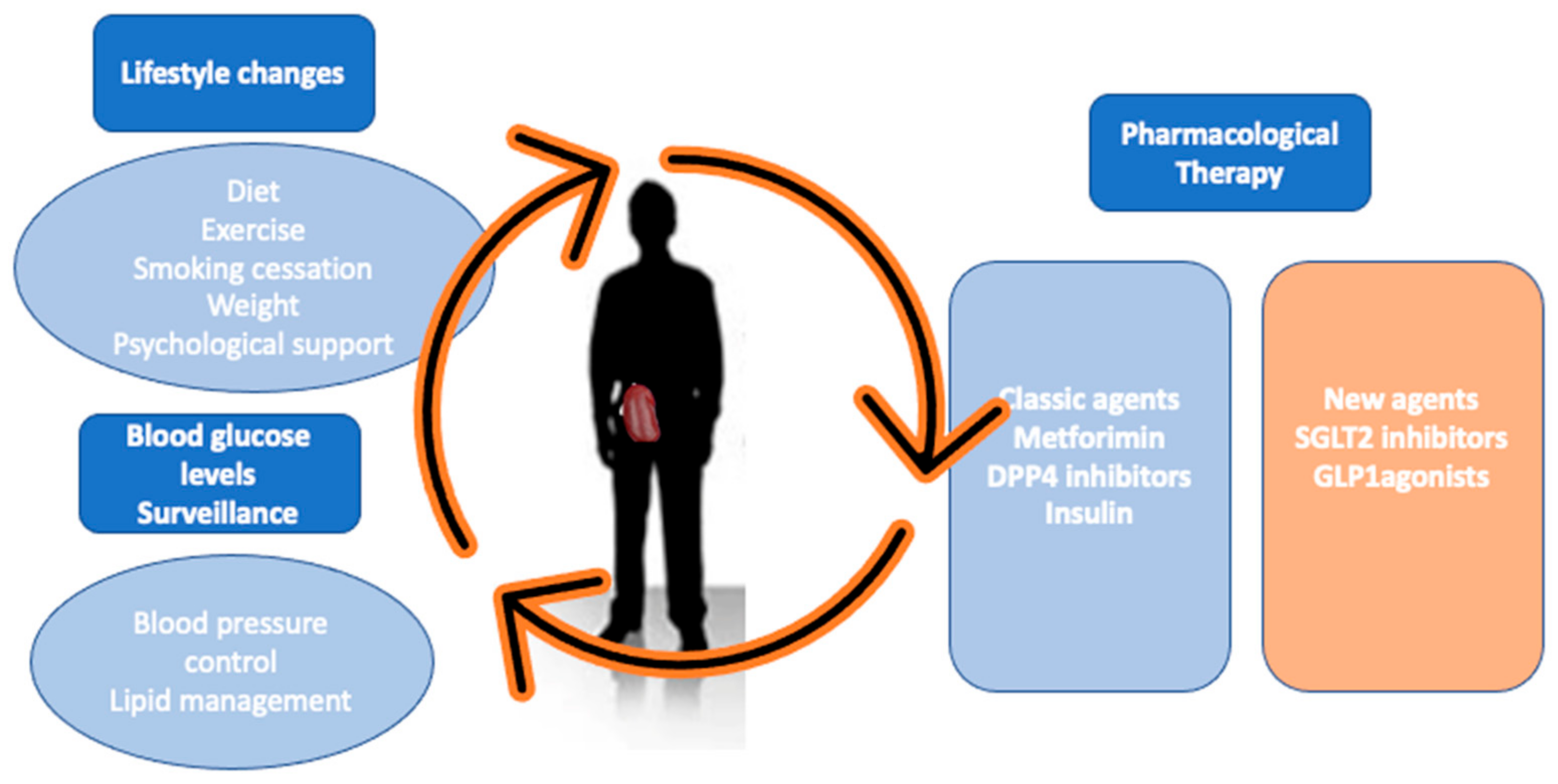Life 13 01265 g002 Life 13 01265 g002