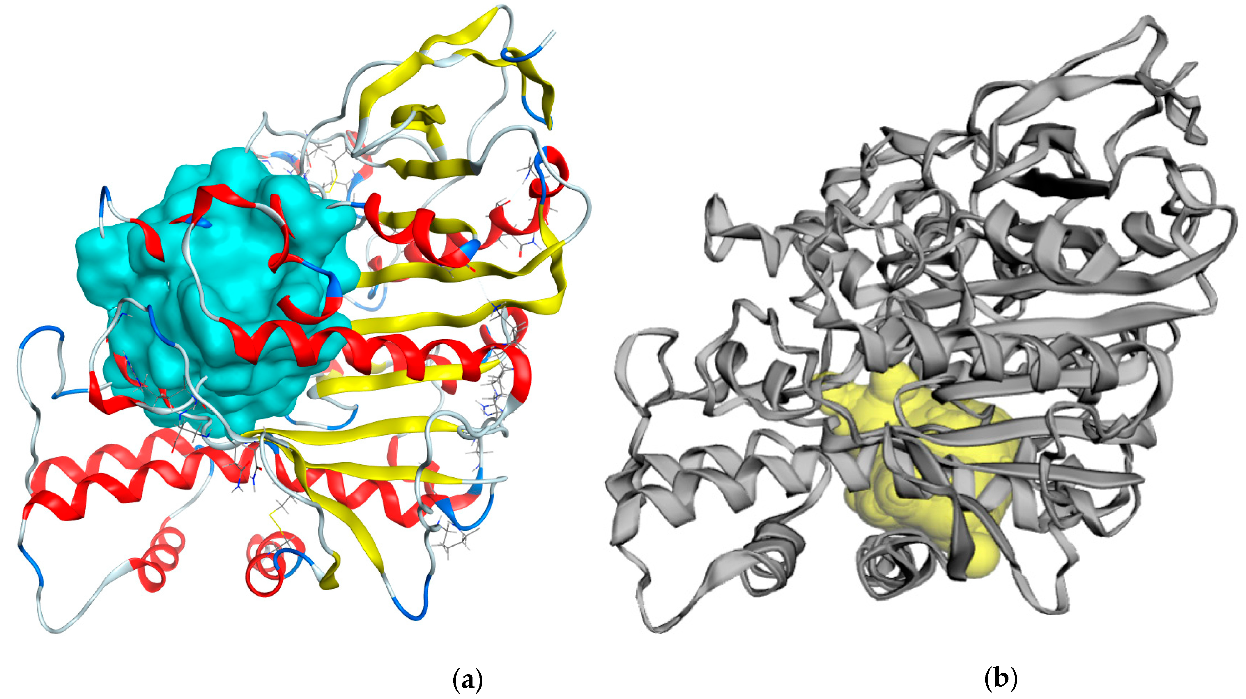 Life 13 01281 g003 Life 13 01281 g003