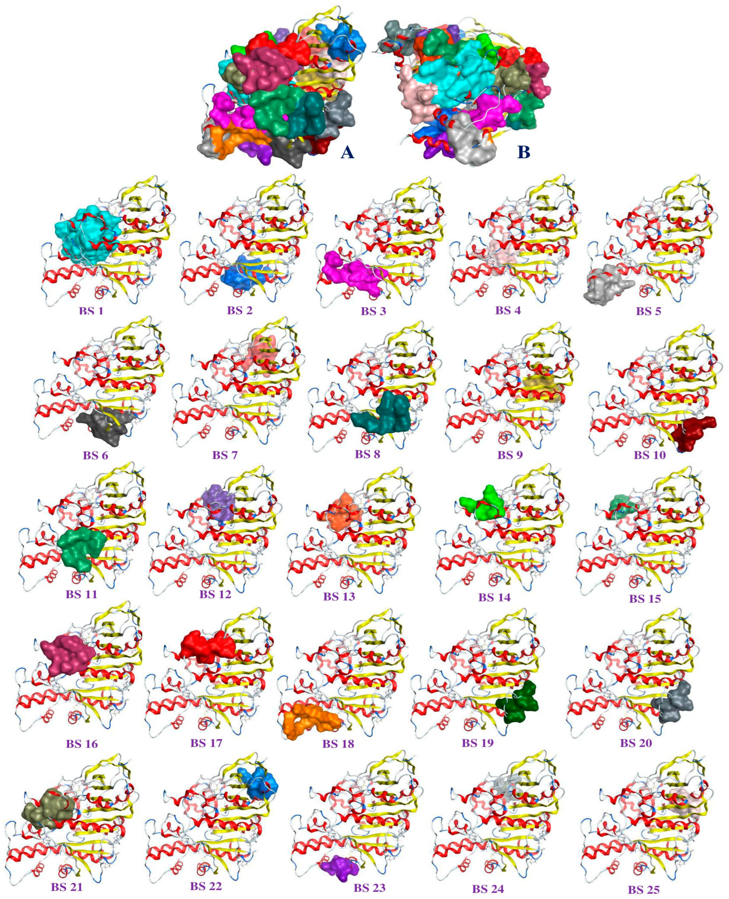 Life 13 01281 g0a5 Life 13 01281 g0a5