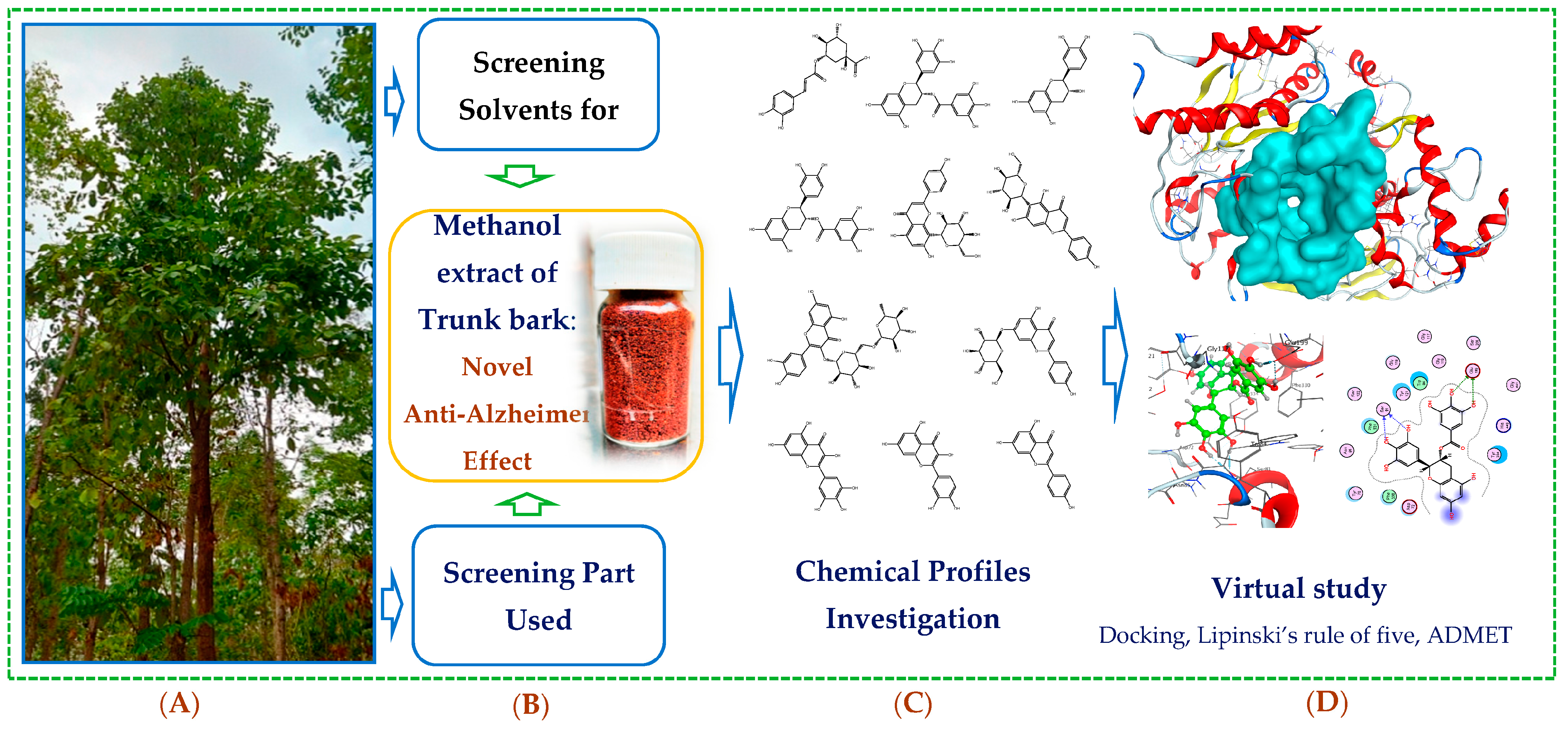 Life 13 01281 sch001 Life 13 01281 sch001