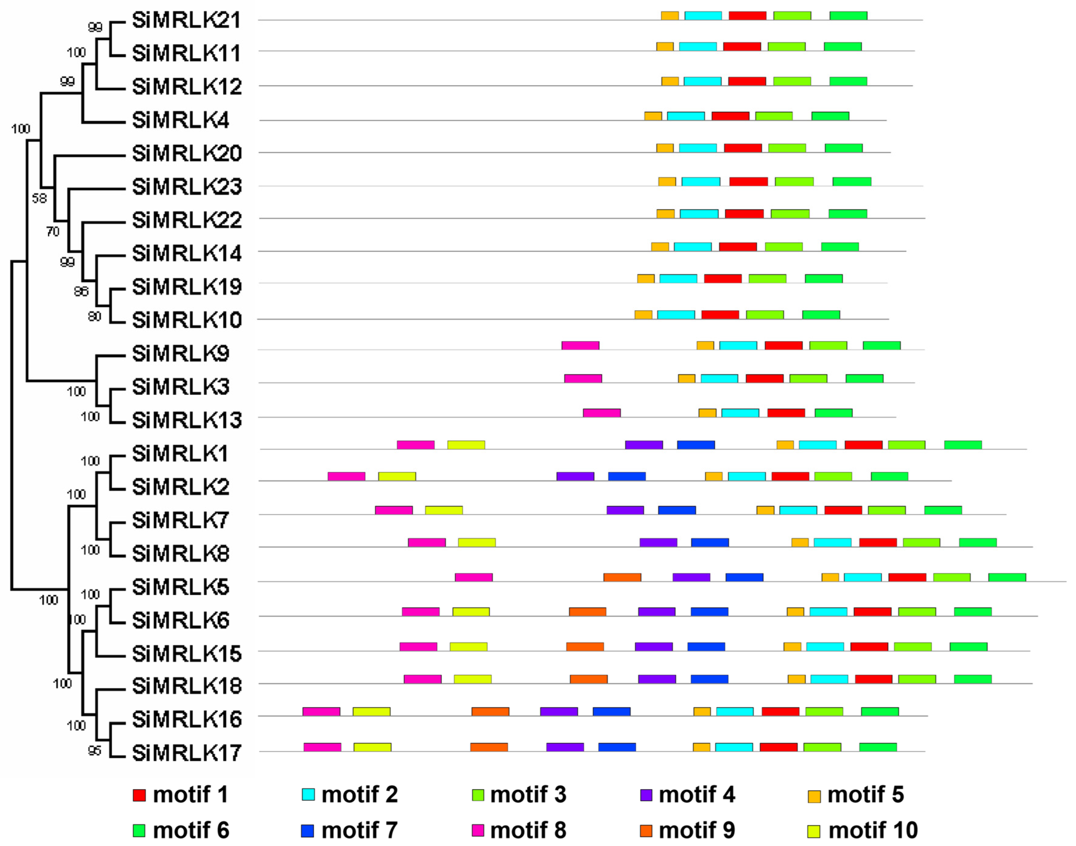 Life 13 01302 g003 Life 13 01302 g003