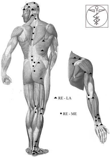 How To Self Massage Upper Trapezius Muscle? – Vigorous Innovations