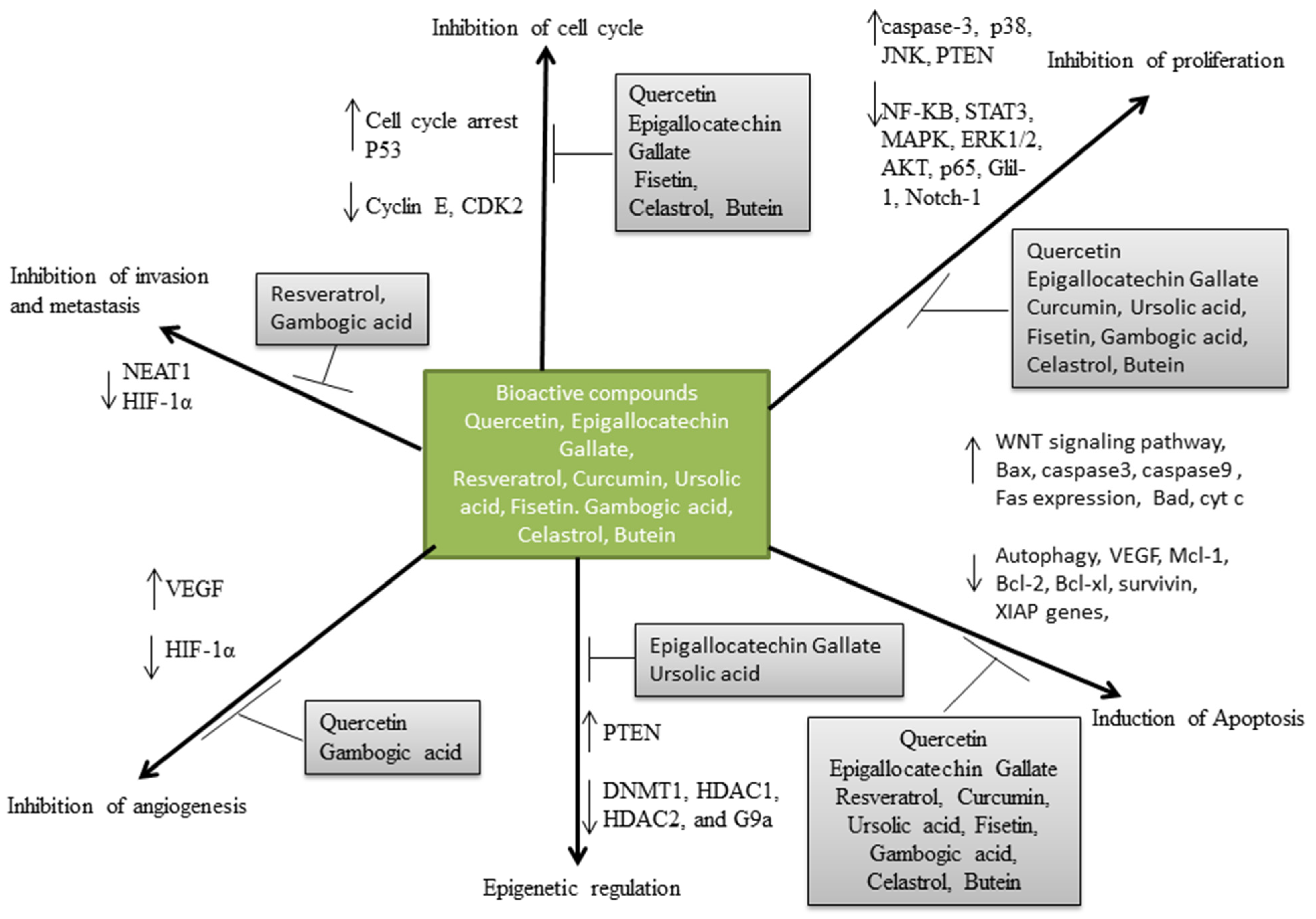 Life 13 01422 g003 Life 13 01422 g003