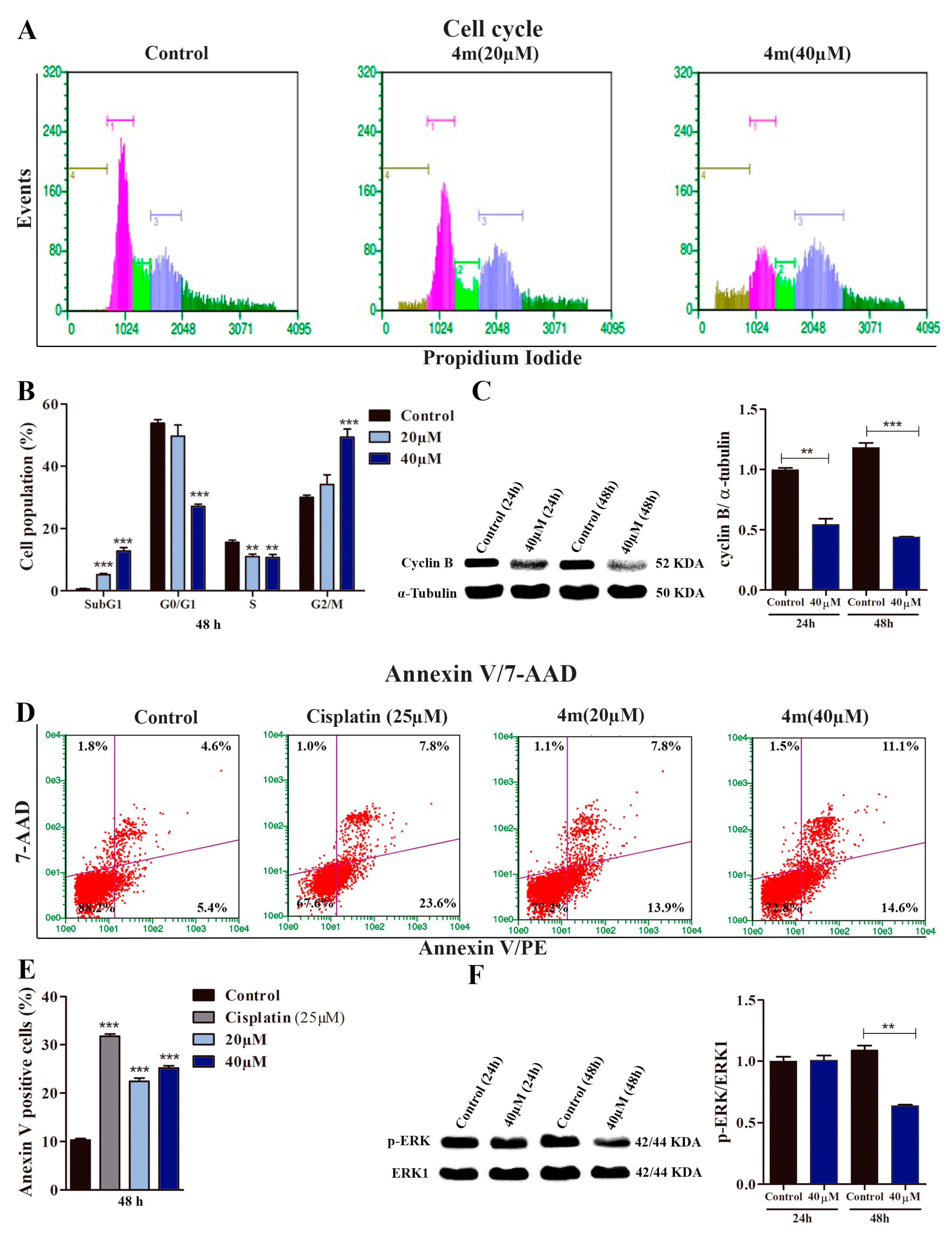 Life 13 01428 g003 Life 13 01428 g003