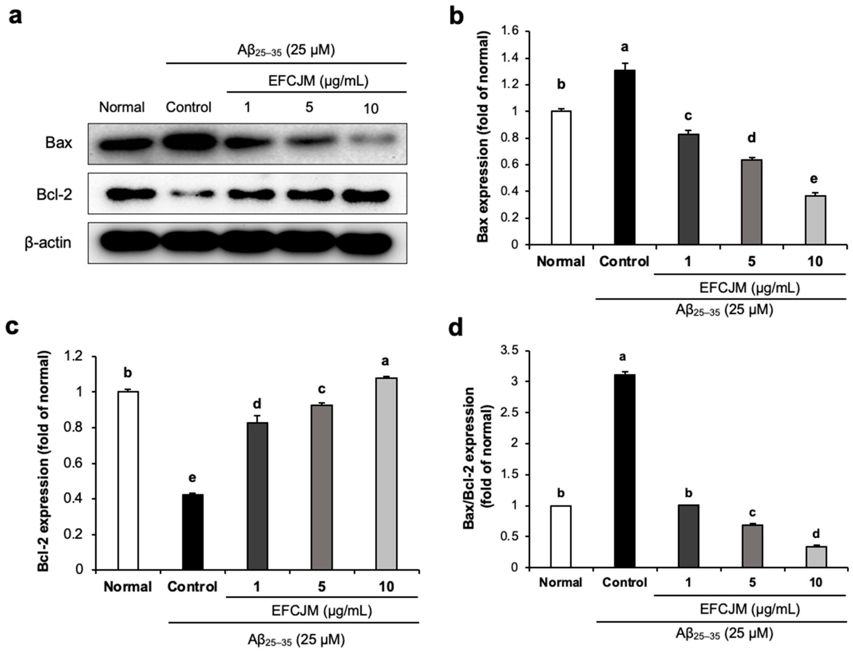 Life 13 01453 g004 Life 13 01453 g004
