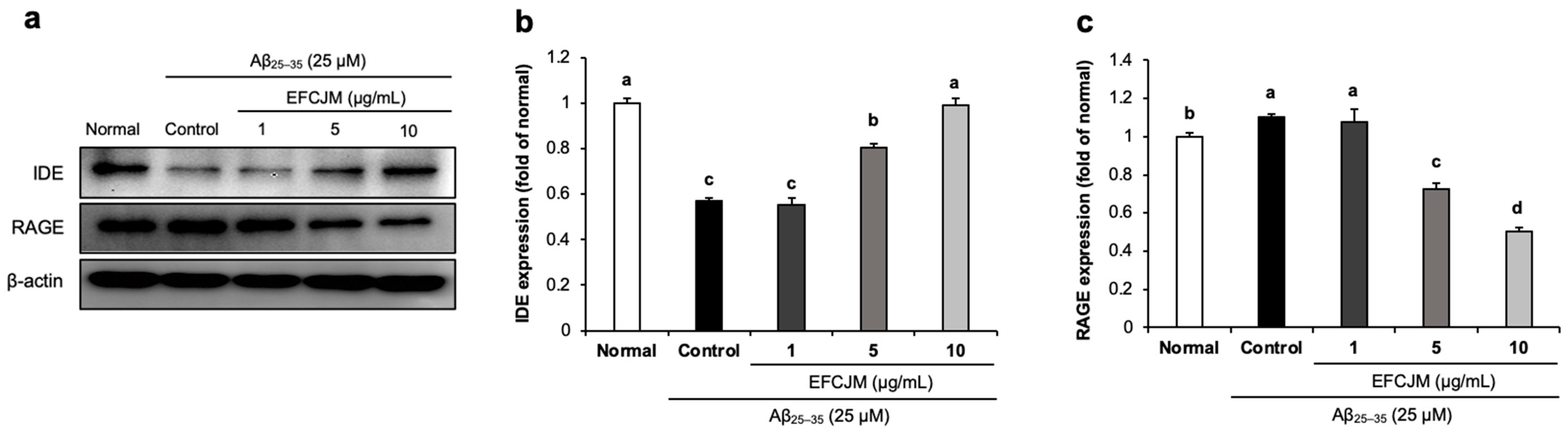 Life 13 01453 g005 Life 13 01453 g005