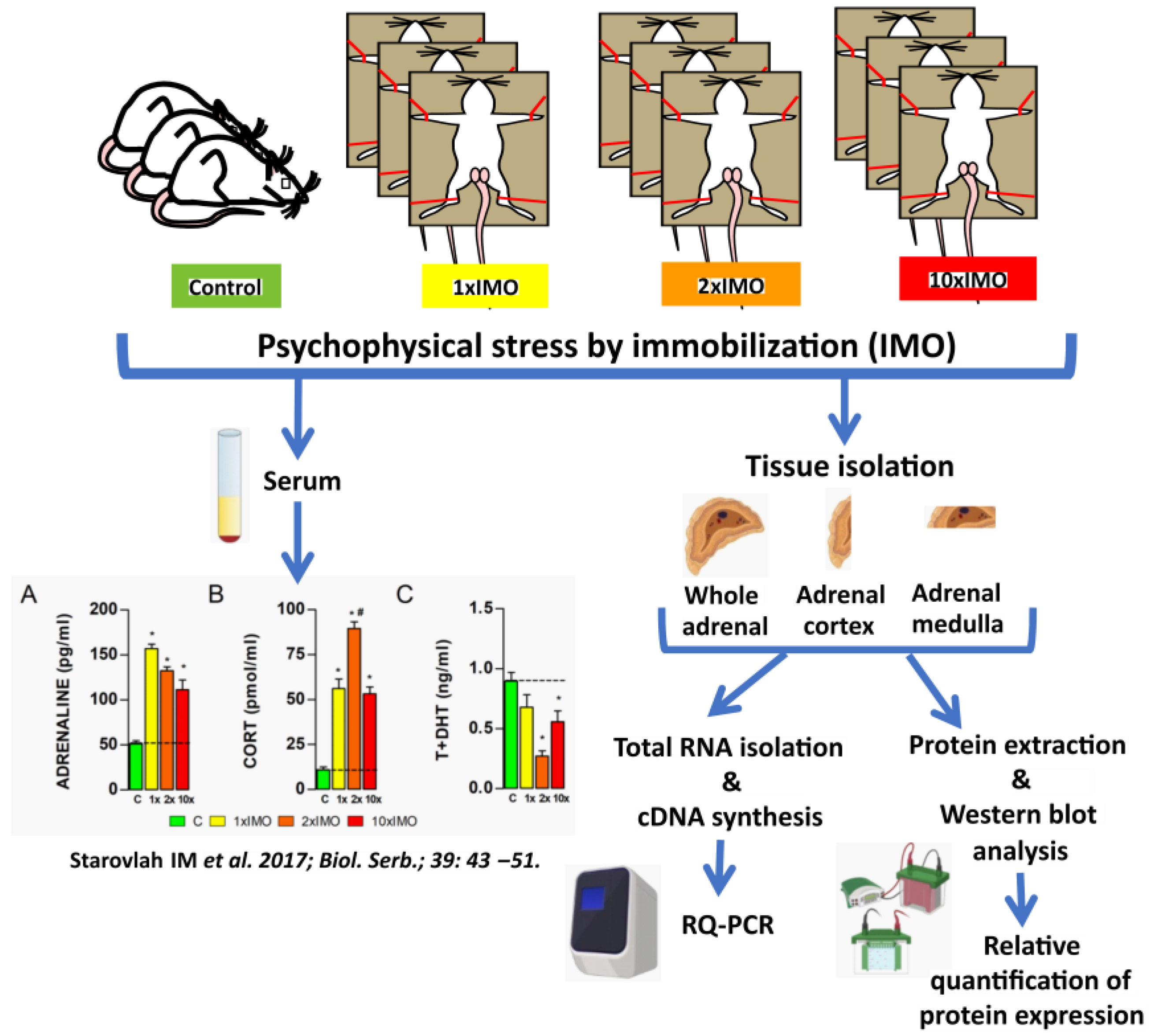 Life 13 01457 g001 Life 13 01457 g001