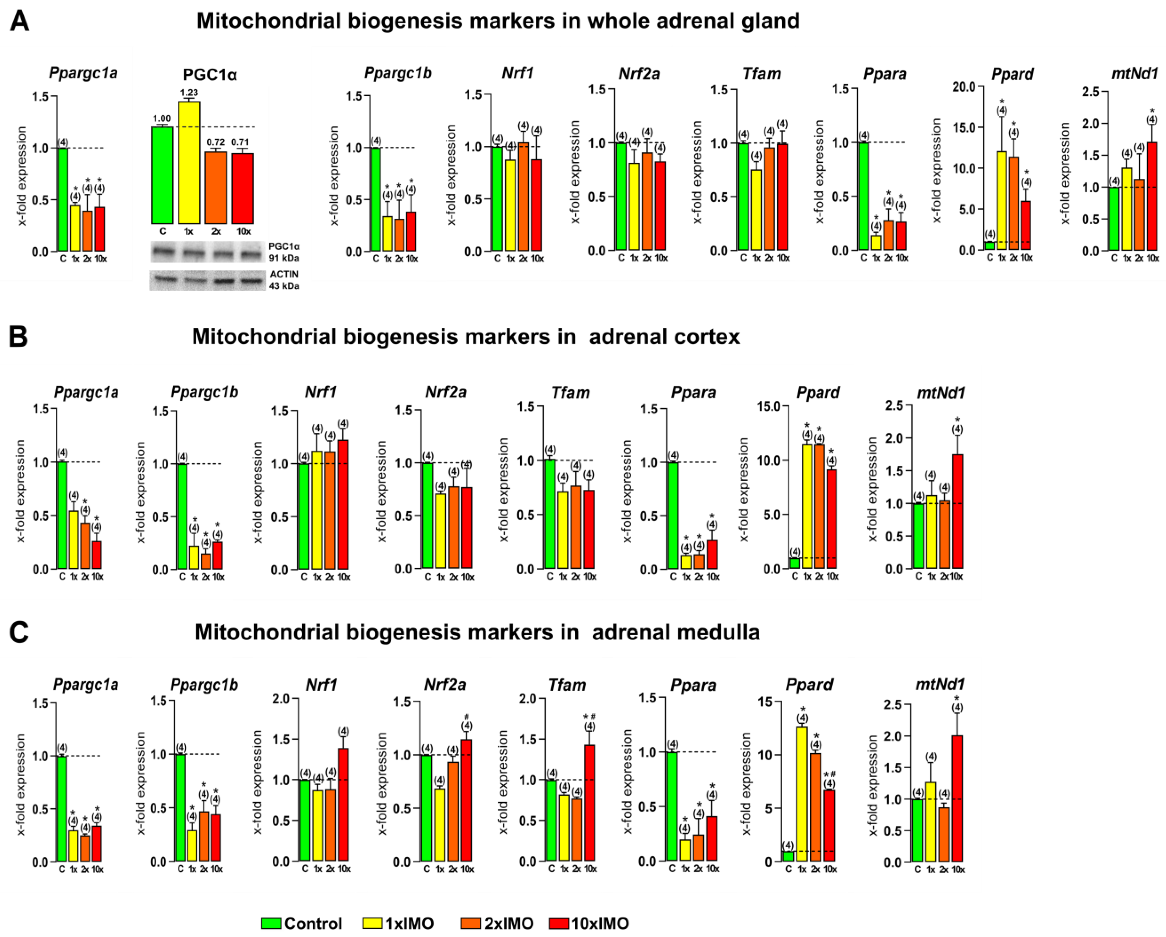 Life 13 01457 g002 Life 13 01457 g002