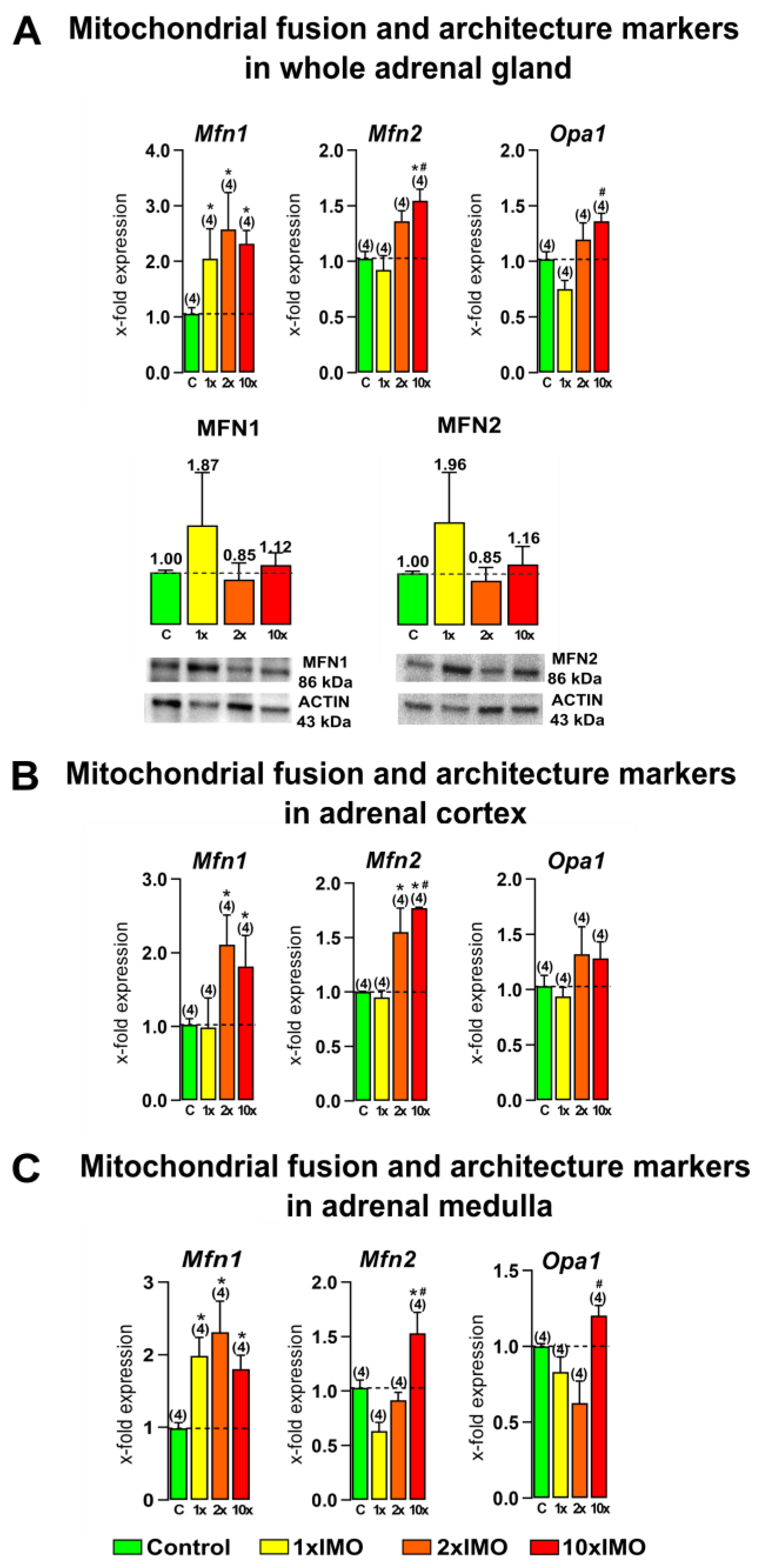 Life 13 01457 g003 Life 13 01457 g003