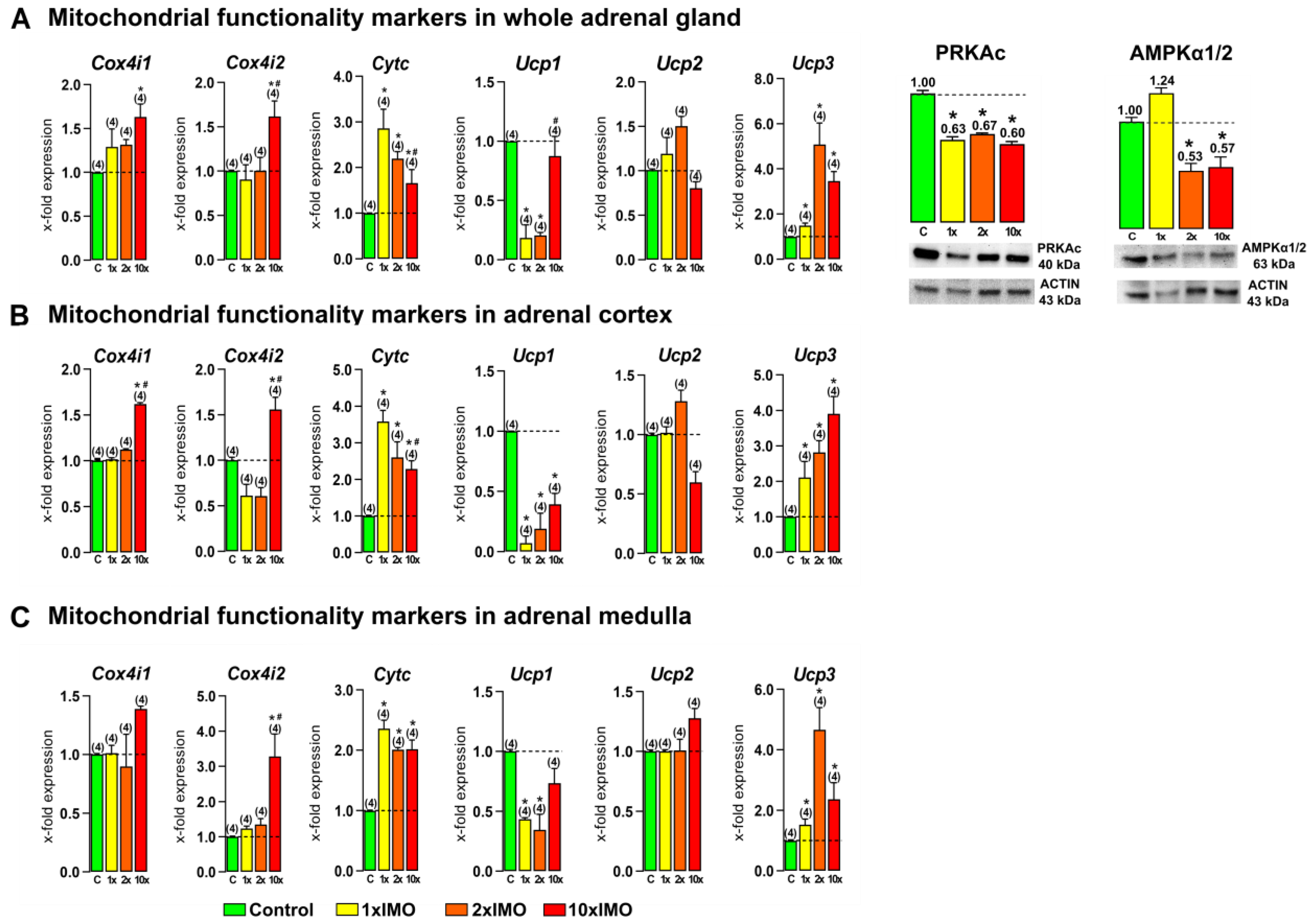 Life 13 01457 g006 Life 13 01457 g006