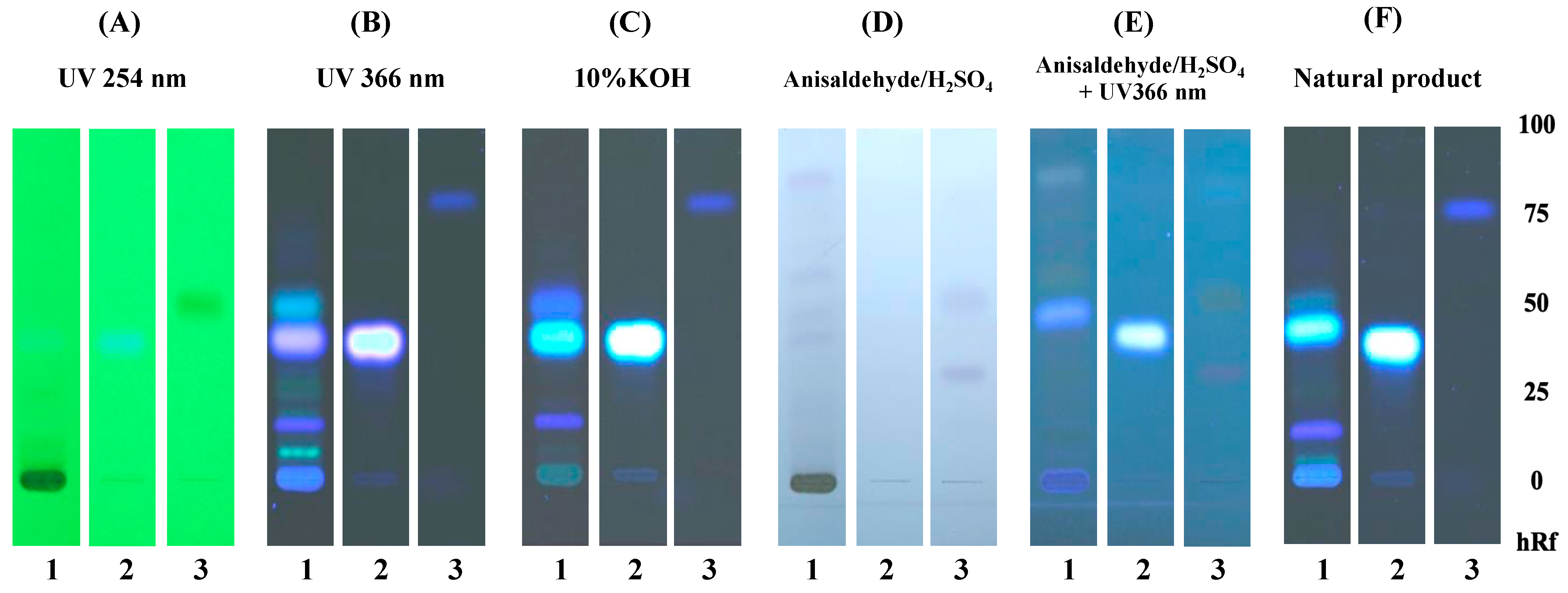 Life 13 01465 g001 Life 13 01465 g001