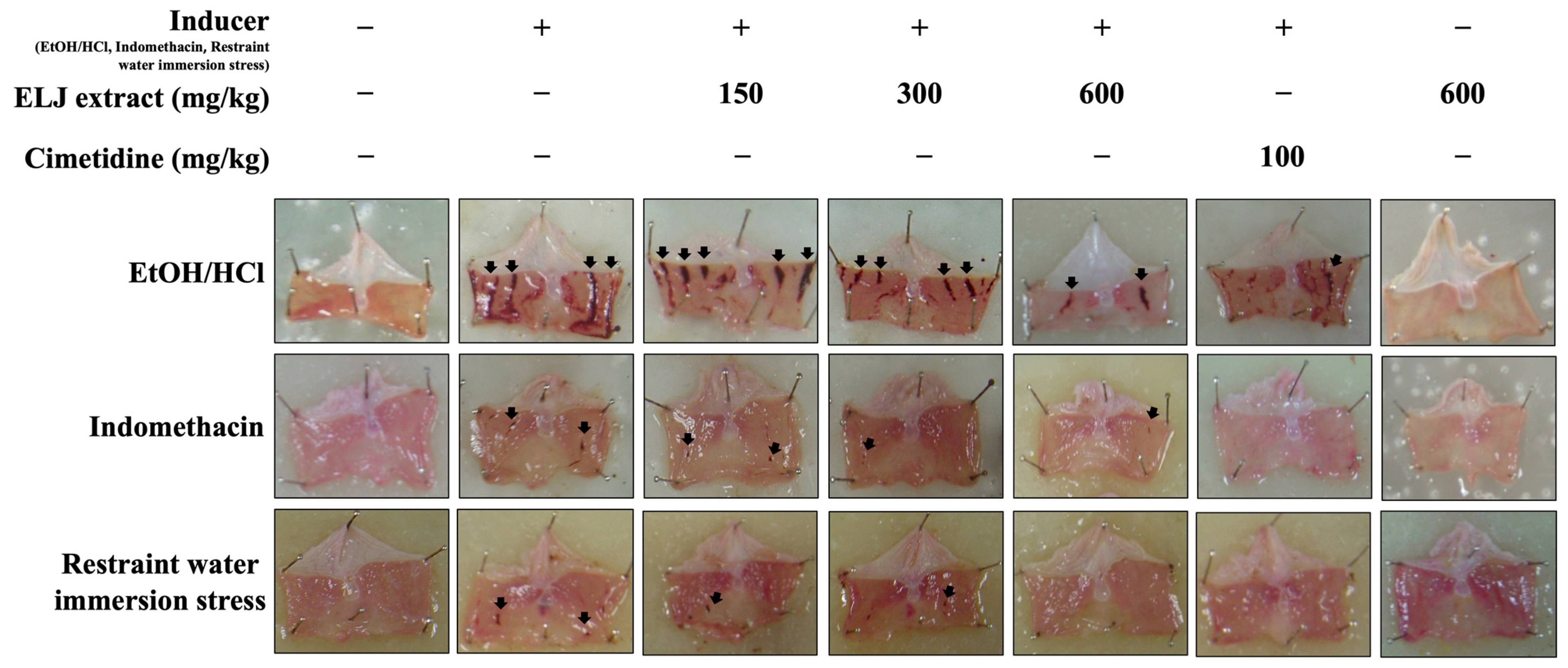 Life 13 01465 g005 Life 13 01465 g005