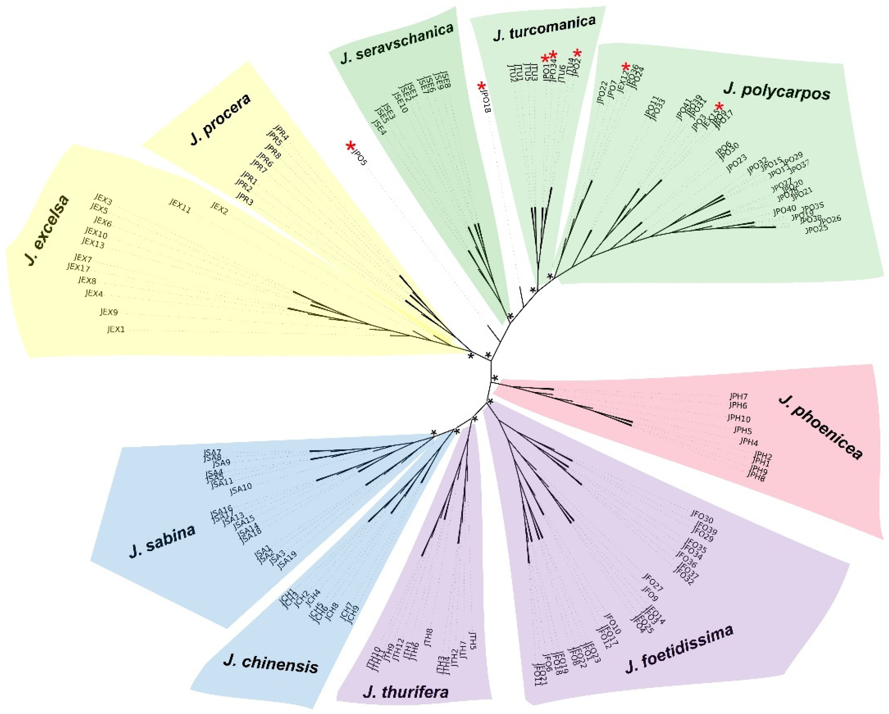 Life 13 01479 g001 Life 13 01479 g001