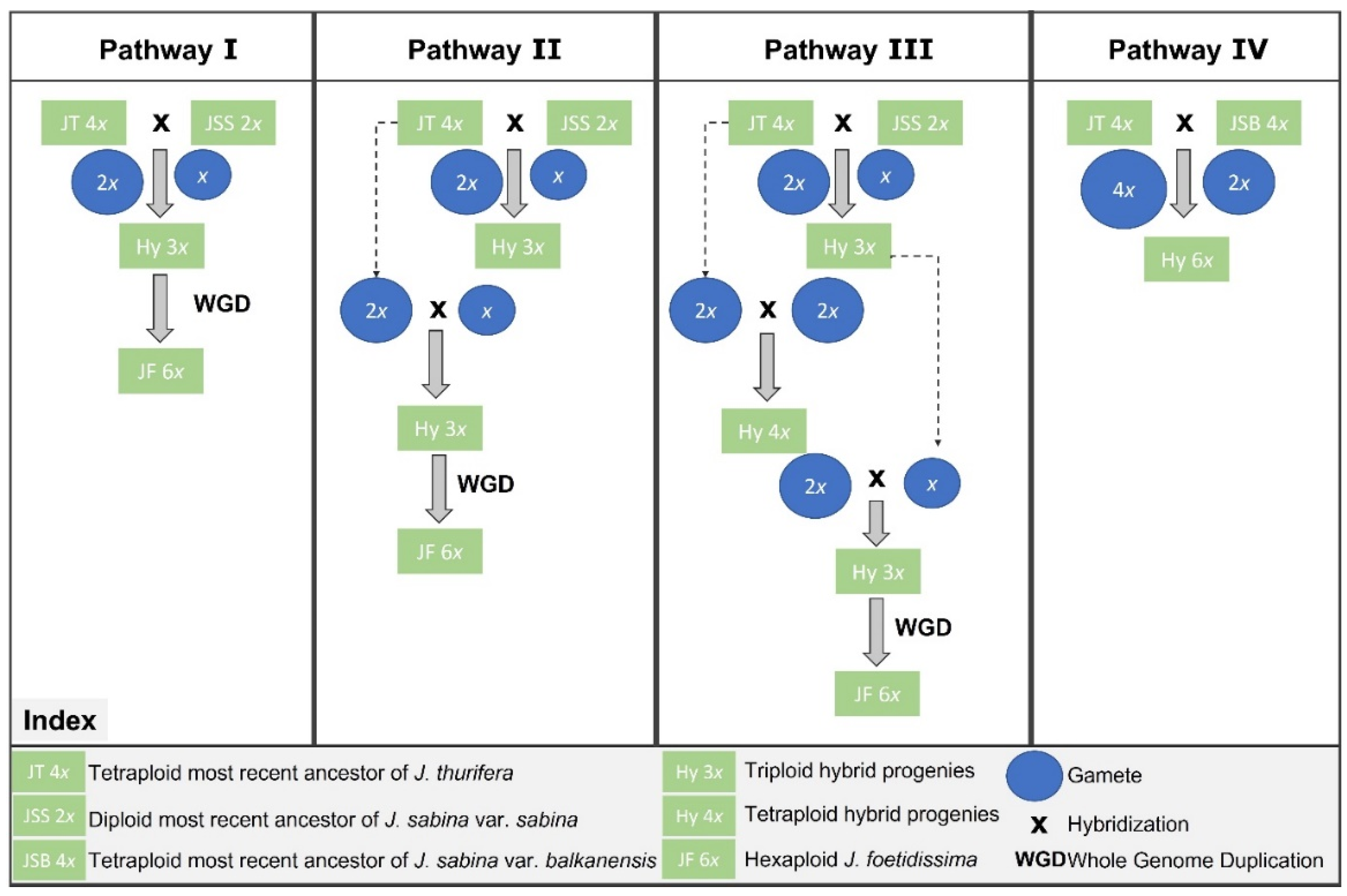 Life 13 01479 g003 Life 13 01479 g003