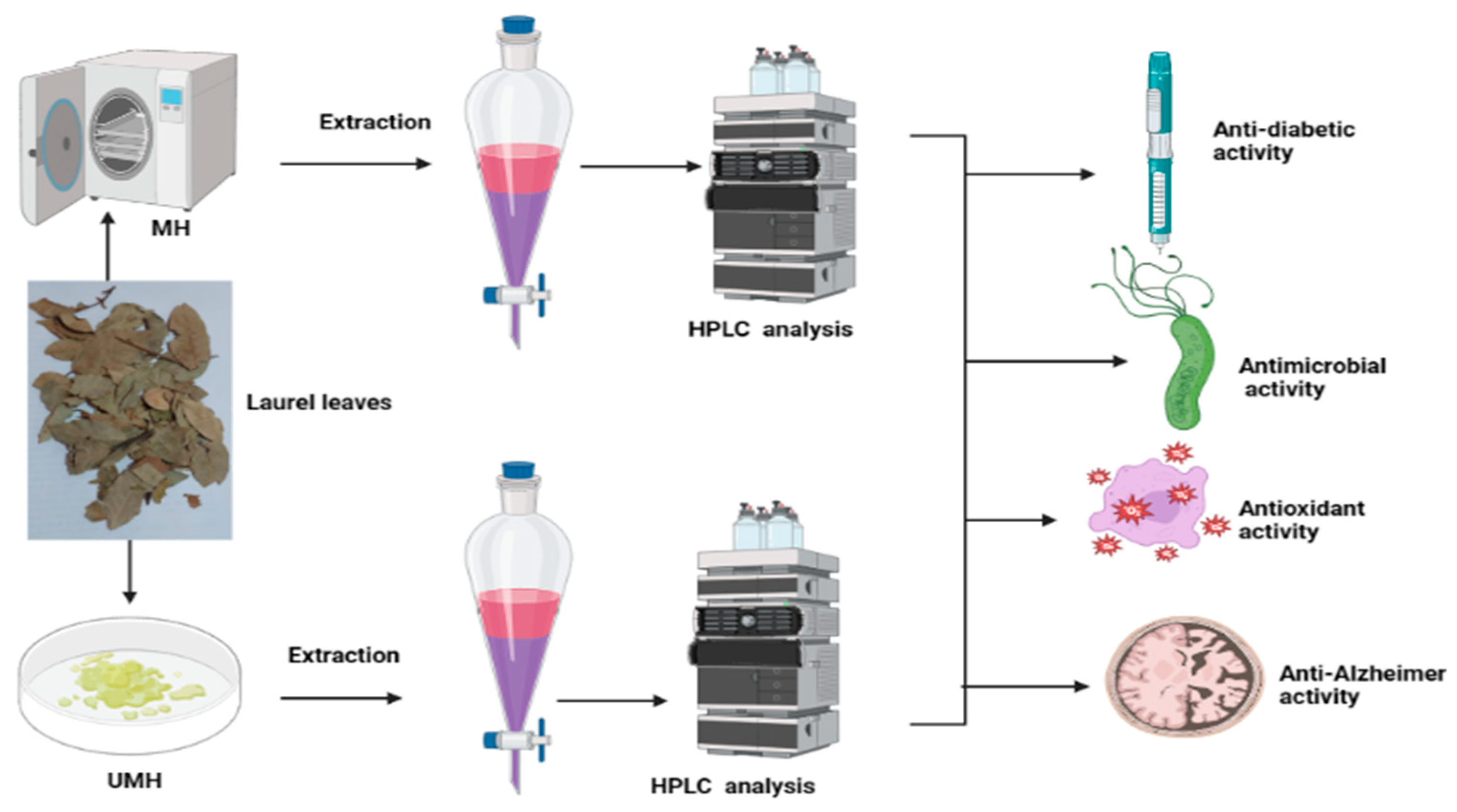 Life 13 01512 g001 Life 13 01512 g001