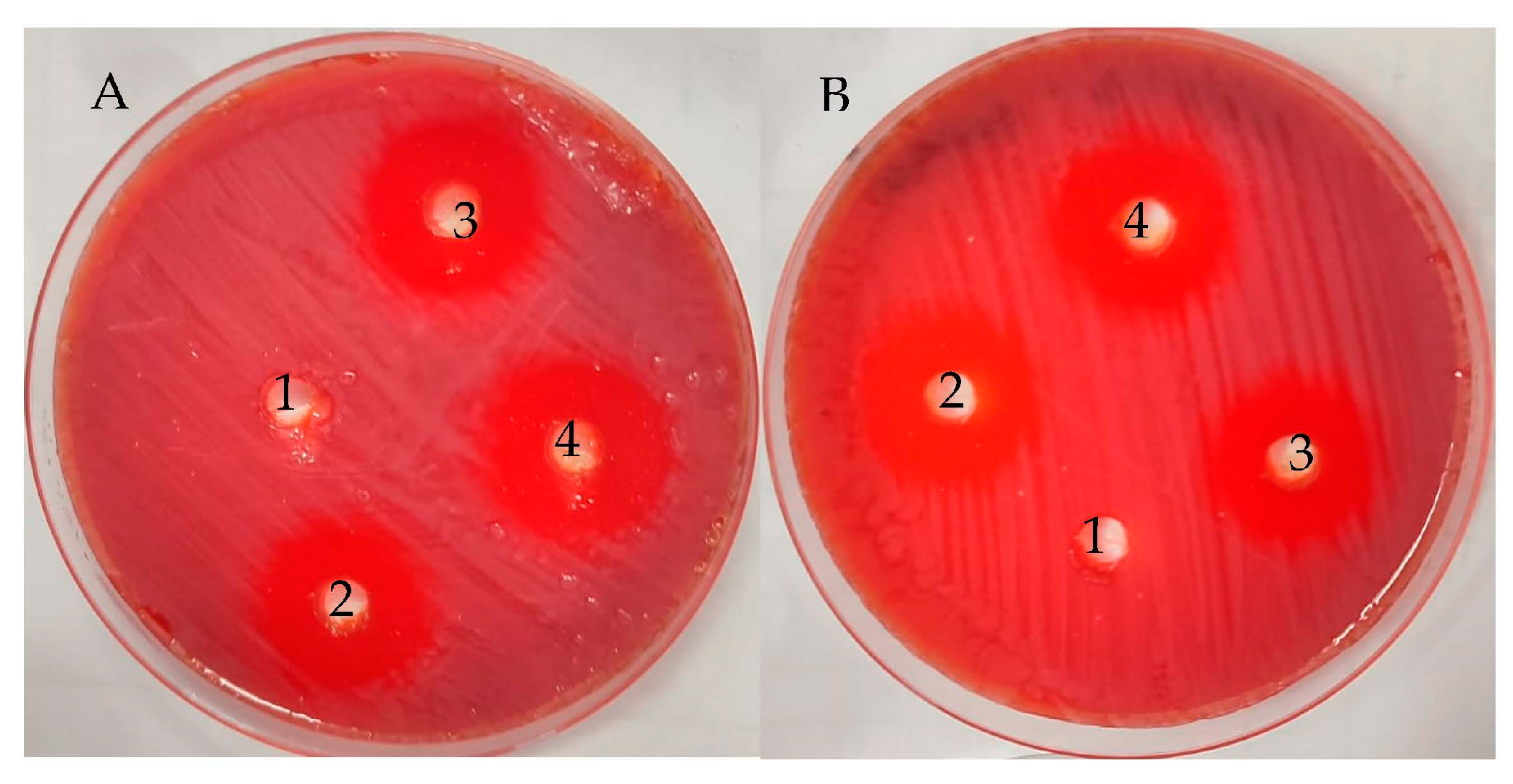 Life 13 01512 g004 Life 13 01512 g004