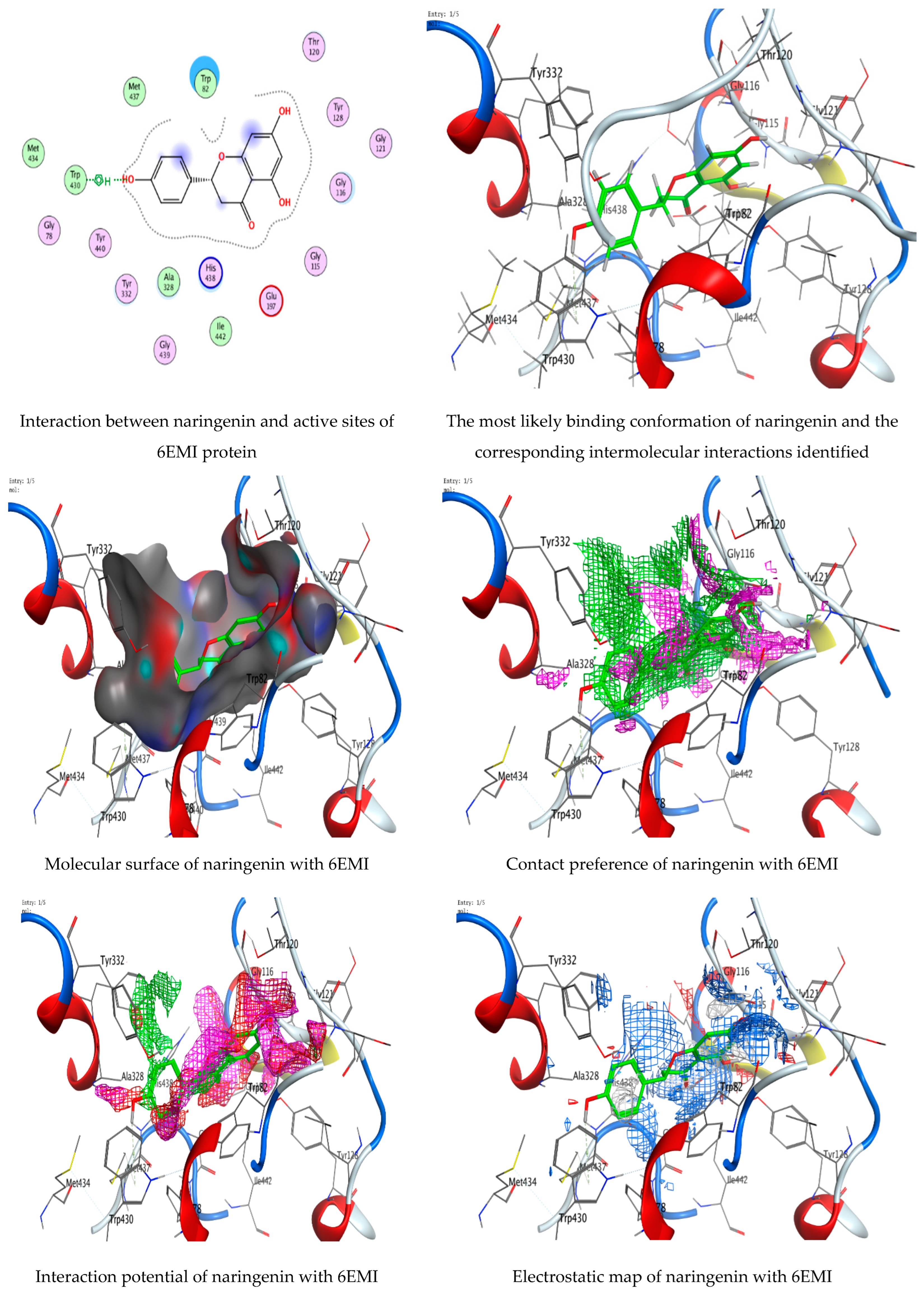 Life 13 01512 g010 Life 13 01512 g010