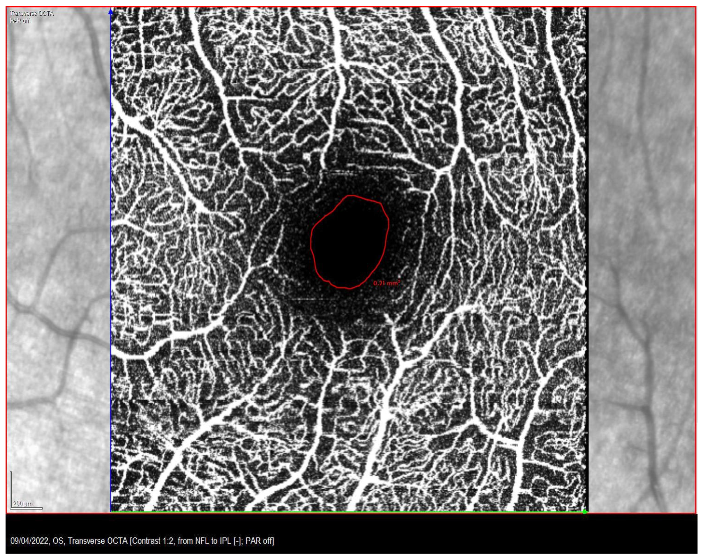 Life 13 01517 g002 Life 13 01517 g002